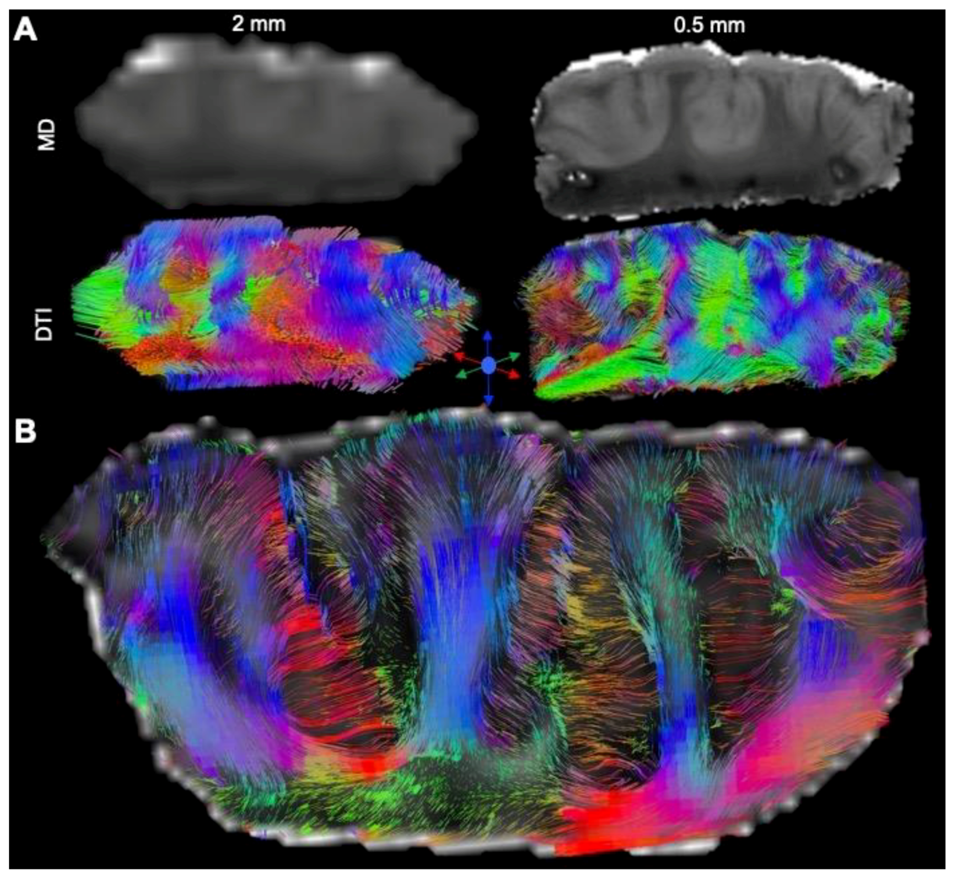 Diagnostics 13 01529 g009 Diagnostics 13 01529 g009