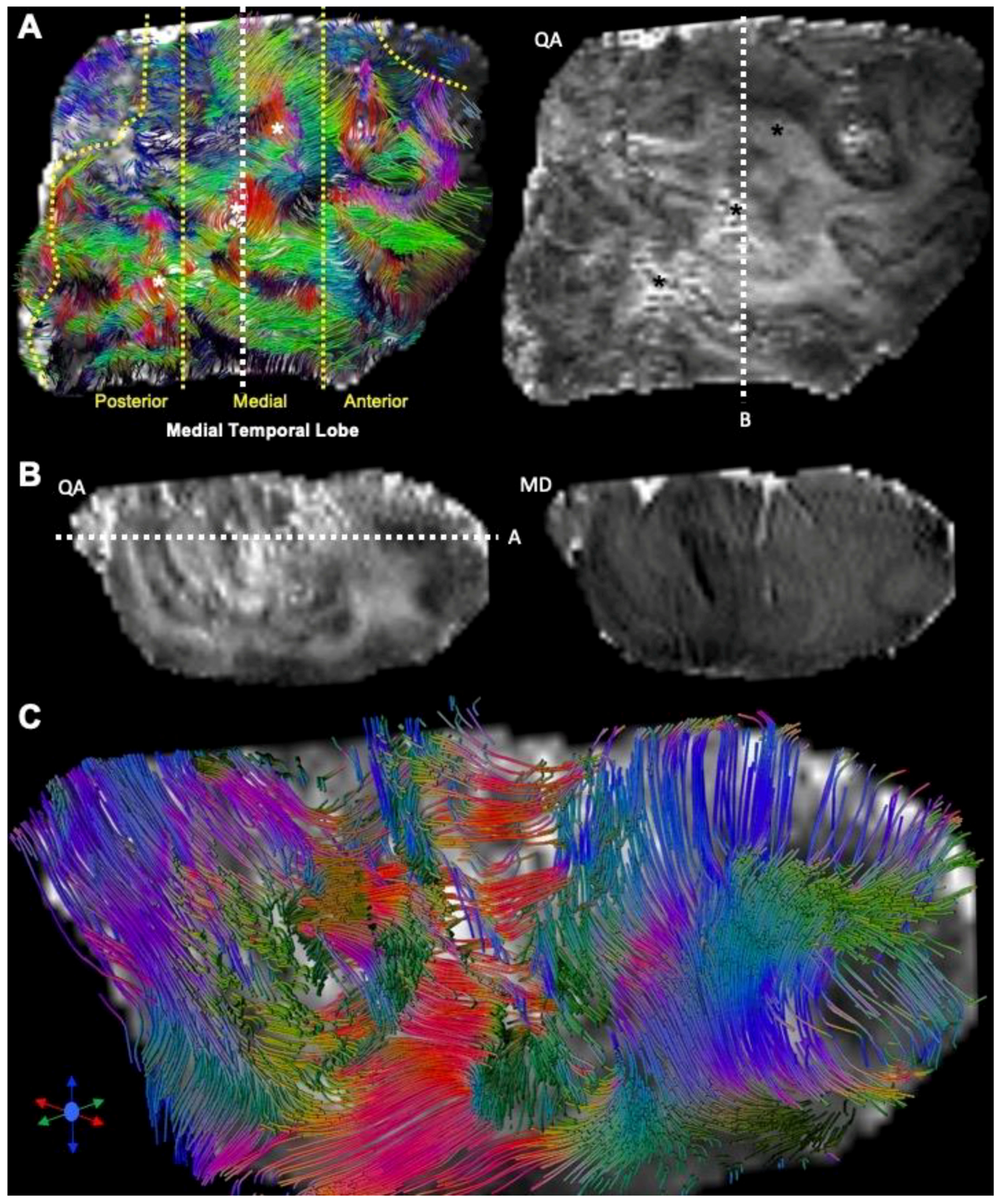 Diagnostics 13 01529 g010 Diagnostics 13 01529 g010