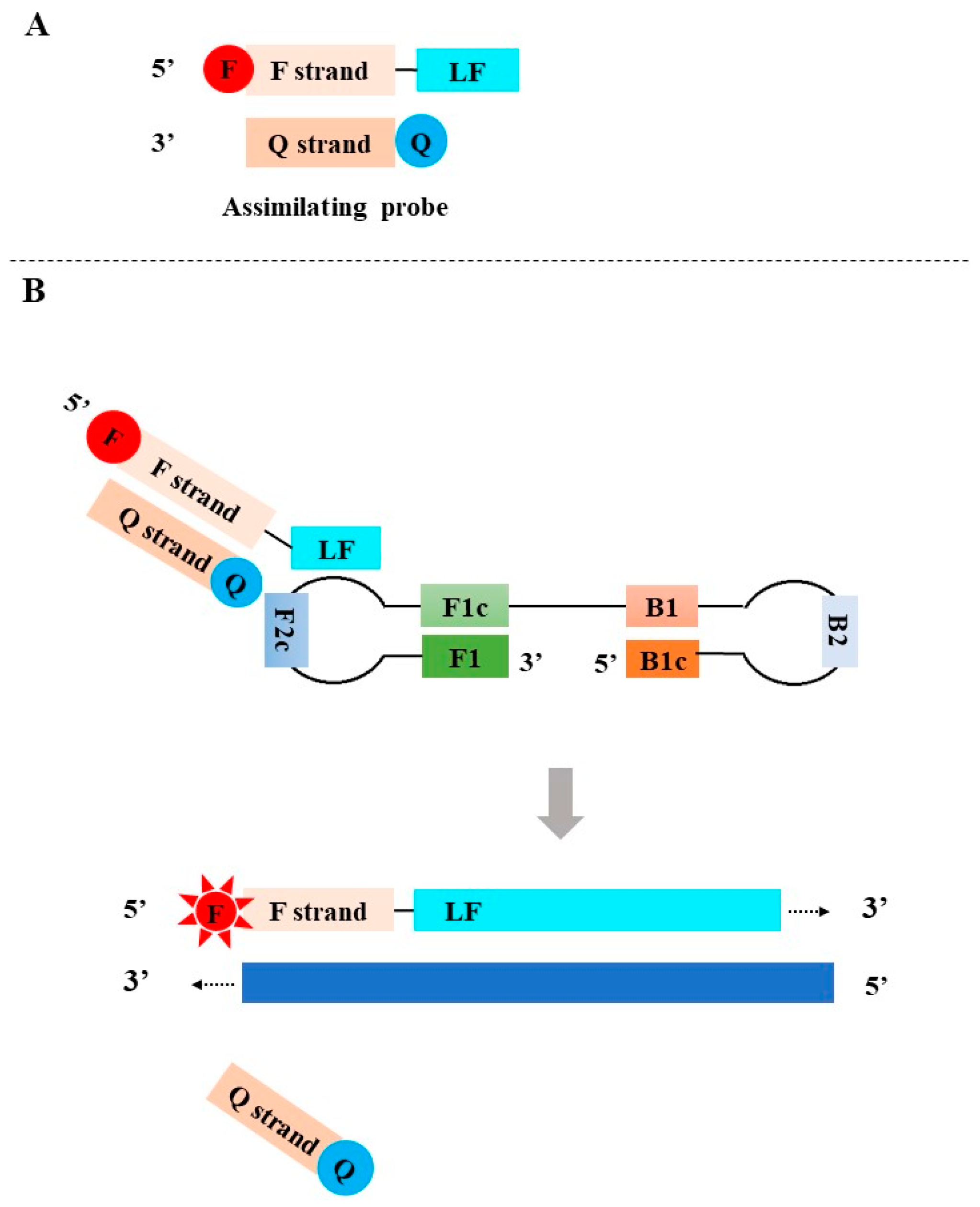Diagnostics 13 01530 g003 Diagnostics 13 01530 g003