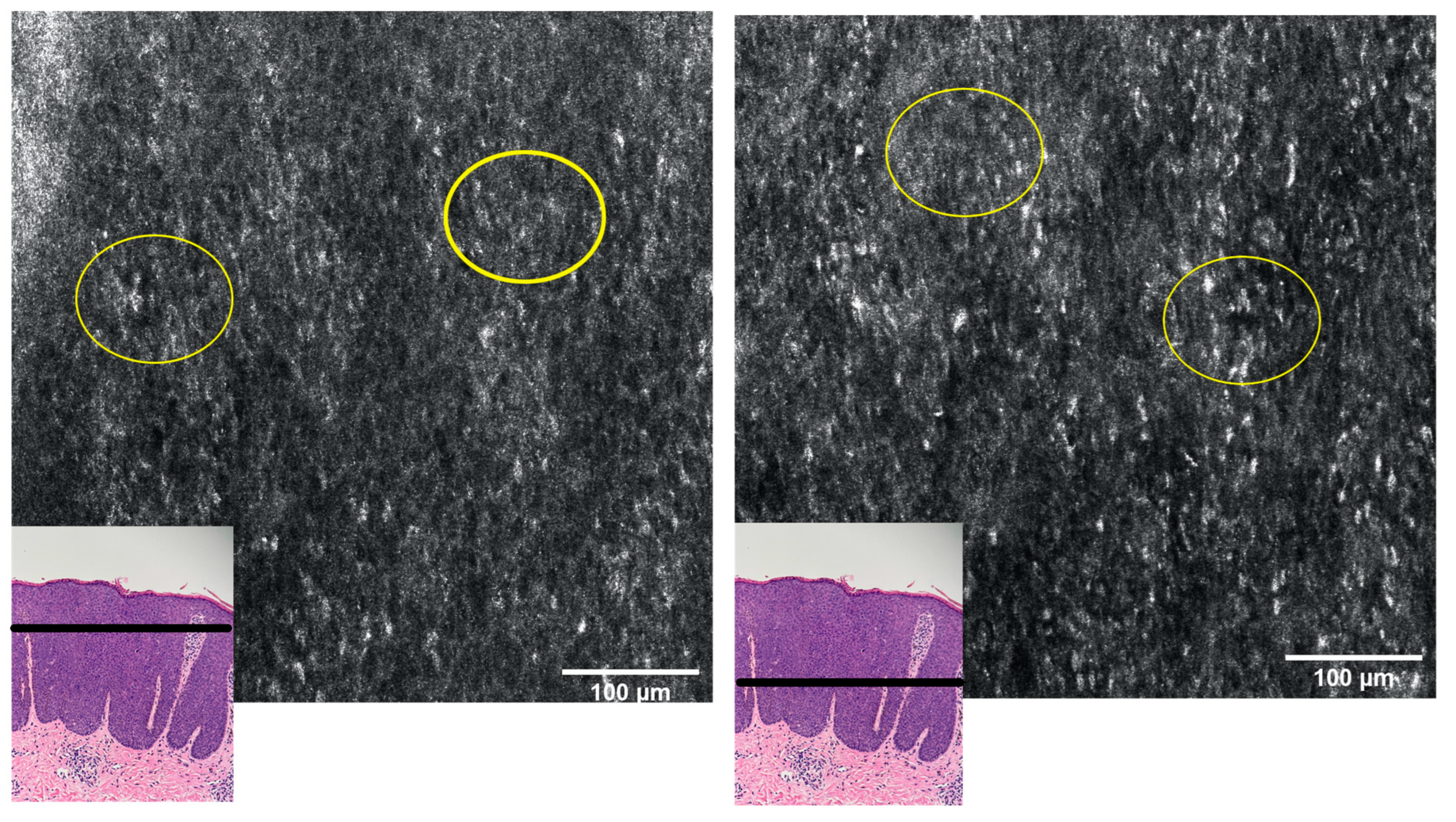 Diagnostics 13 01531 g003