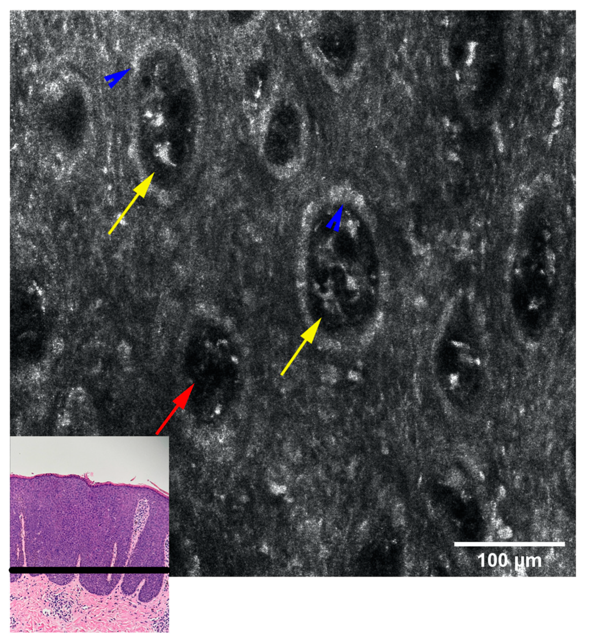 Diagnostics 13 01531 g005