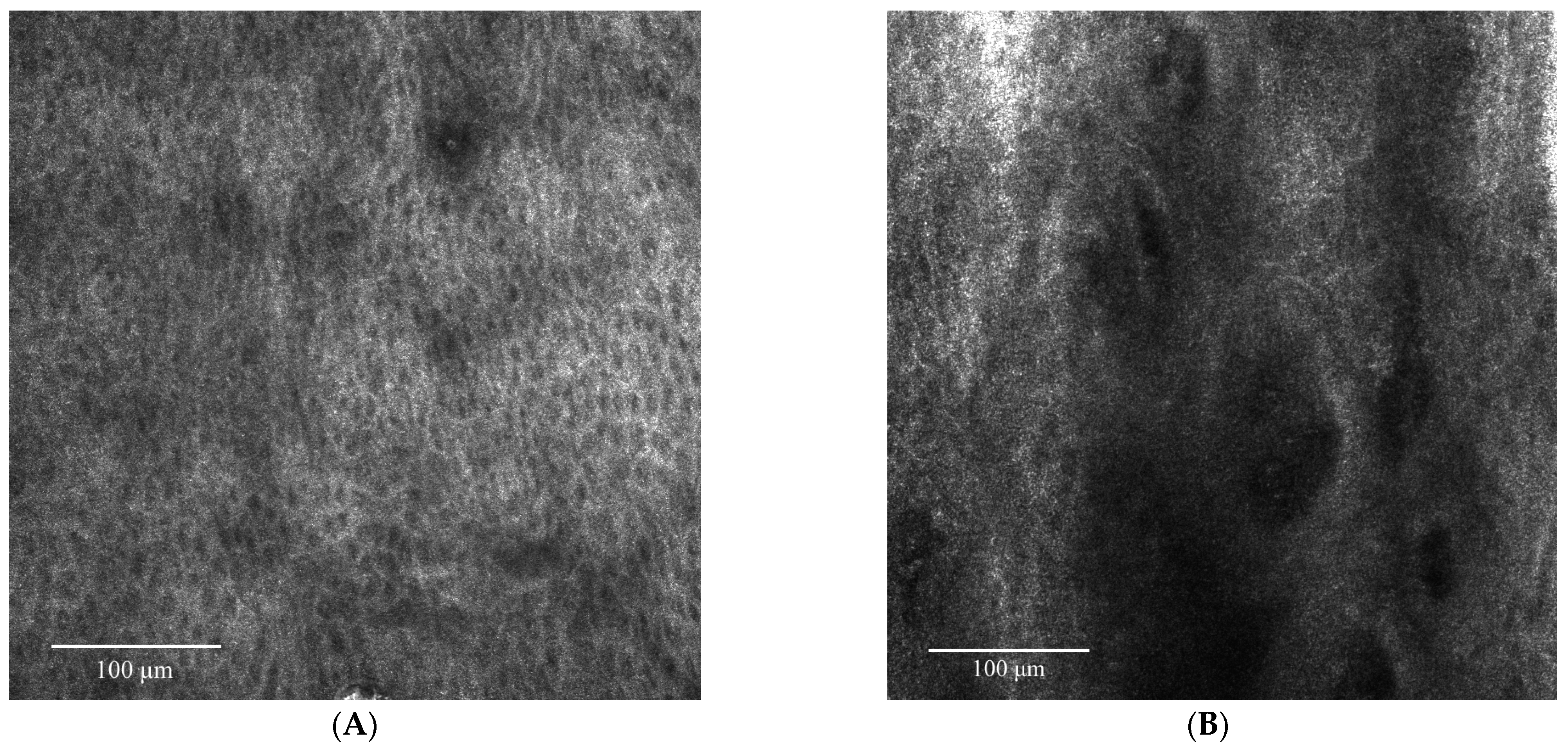 Diagnostics 13 01531 g006