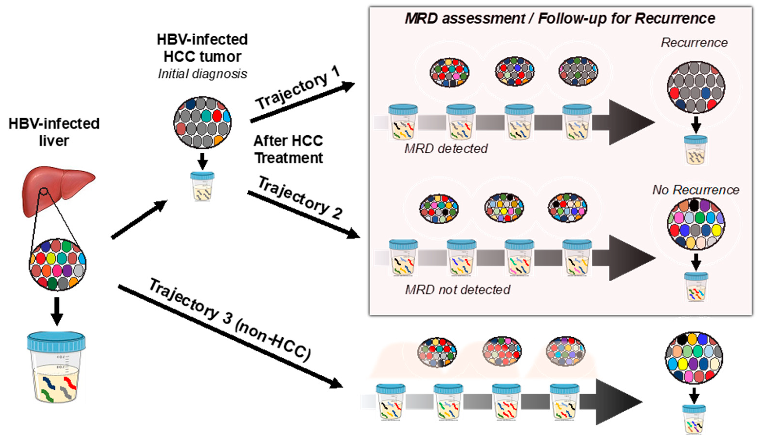 Diagnostics 13 01537 g002 Diagnostics 13 01537 g002
