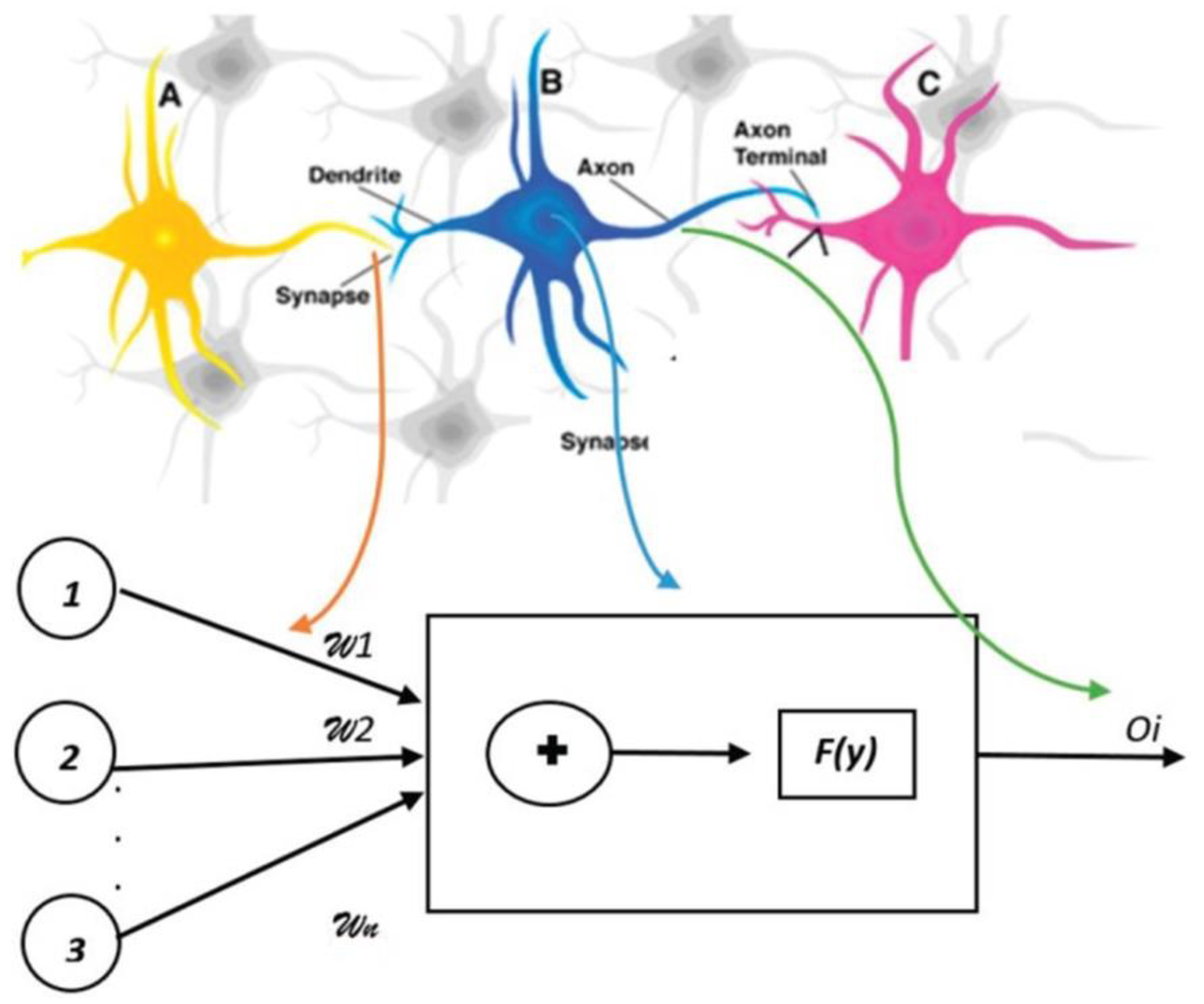 Diagnostics 13 01551 g003