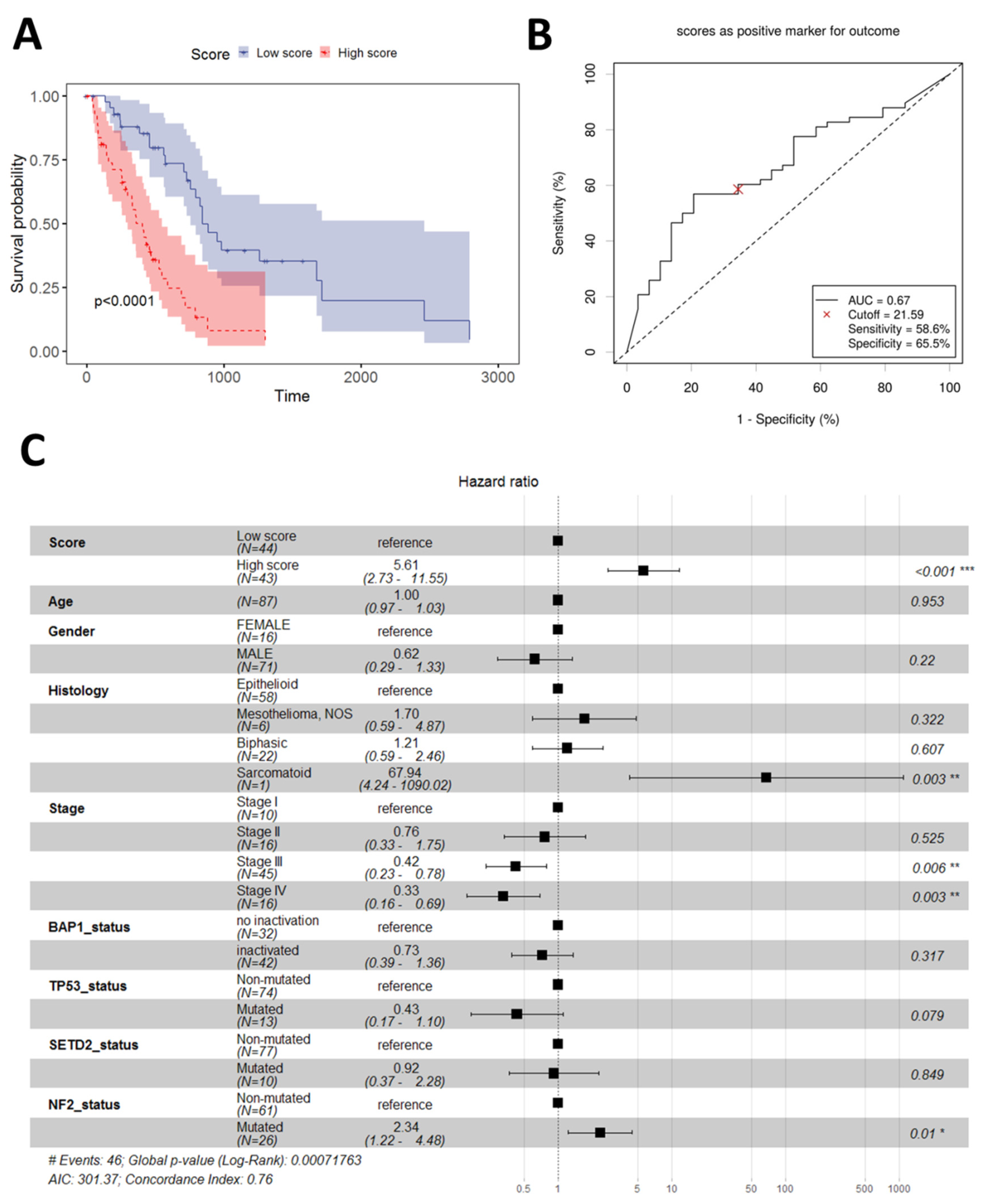 Diagnostics 13 01556 g002