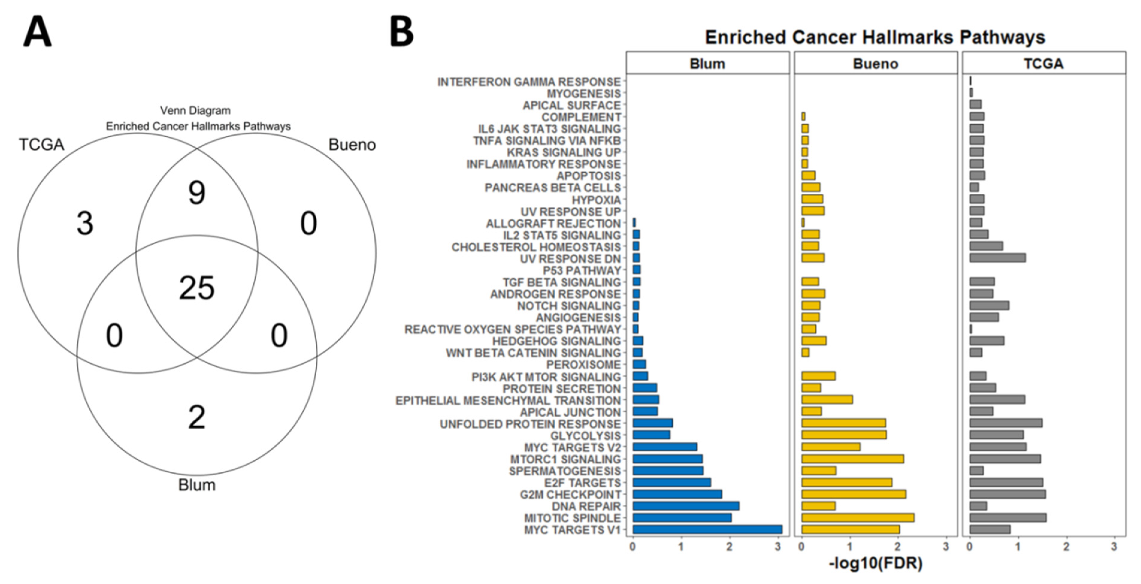 Diagnostics 13 01556 g005