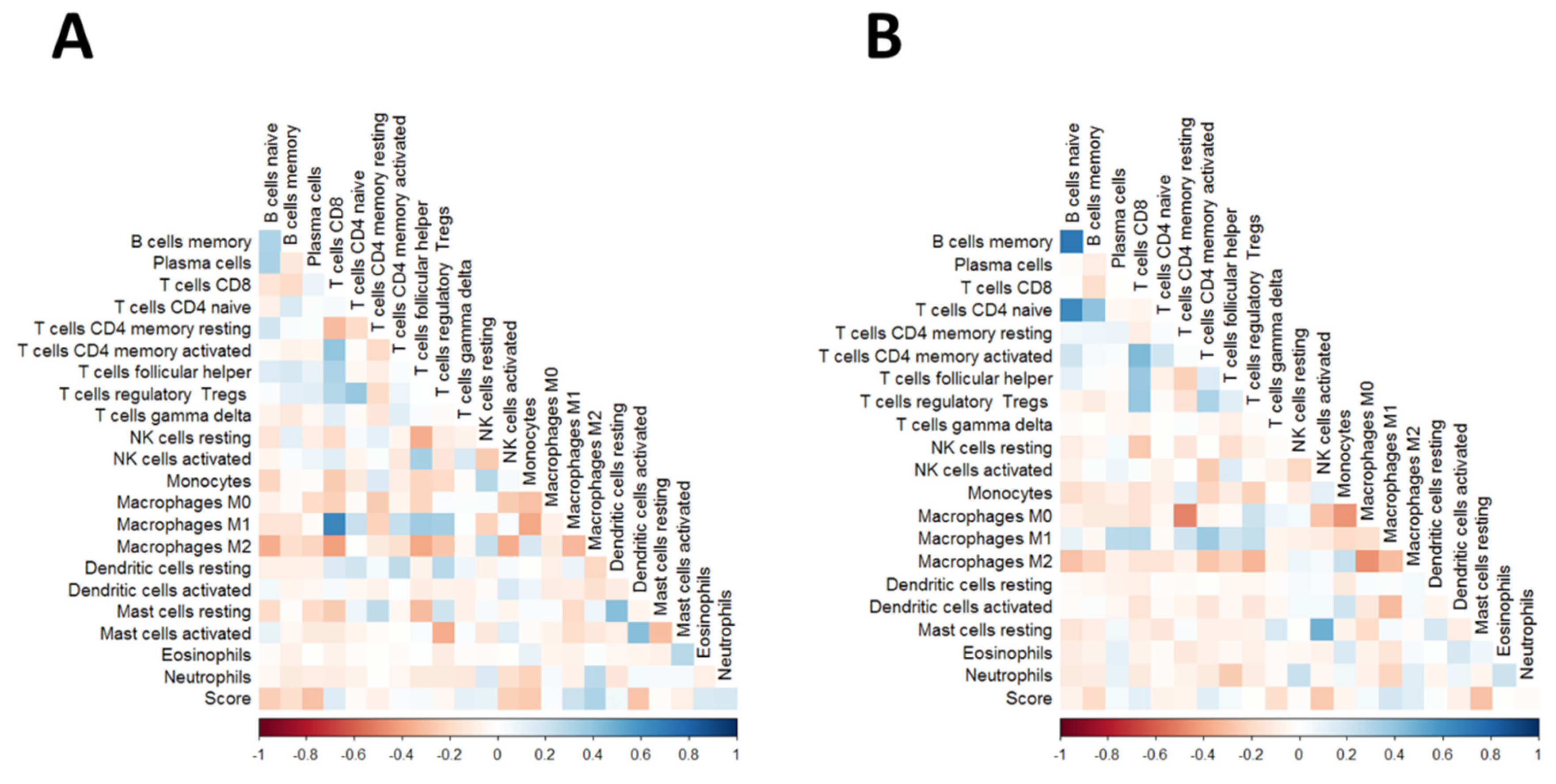 Diagnostics 13 01556 g006