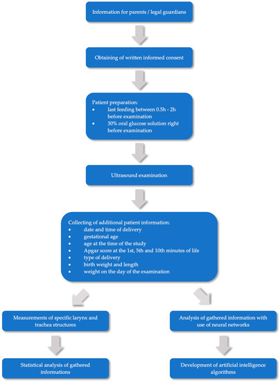 Ultrasound Assessment of Larynx and Trachea in the Neonatal Period ...