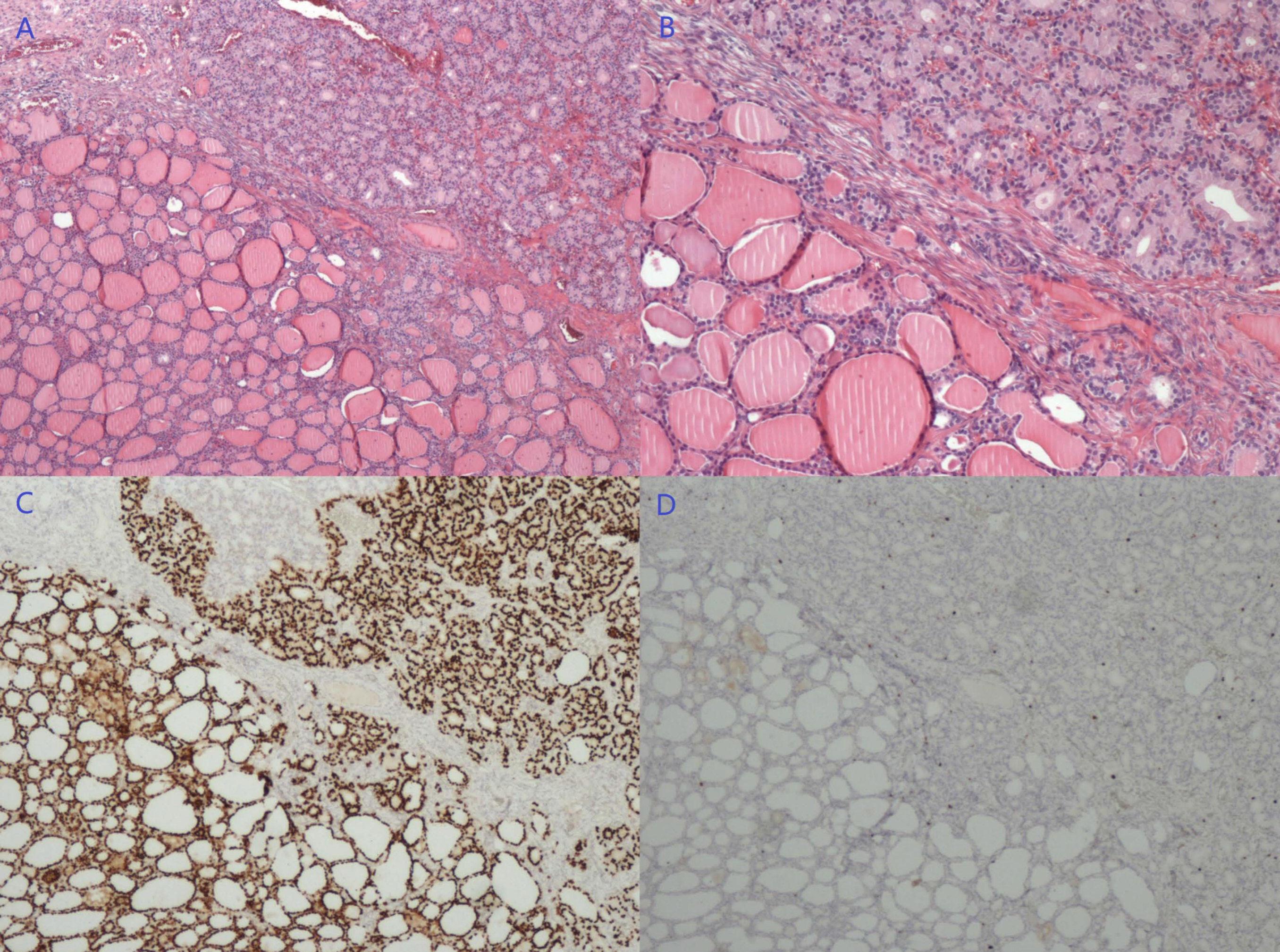 Diagnostics 13 01581 g001 Diagnostics 13 01581 g001