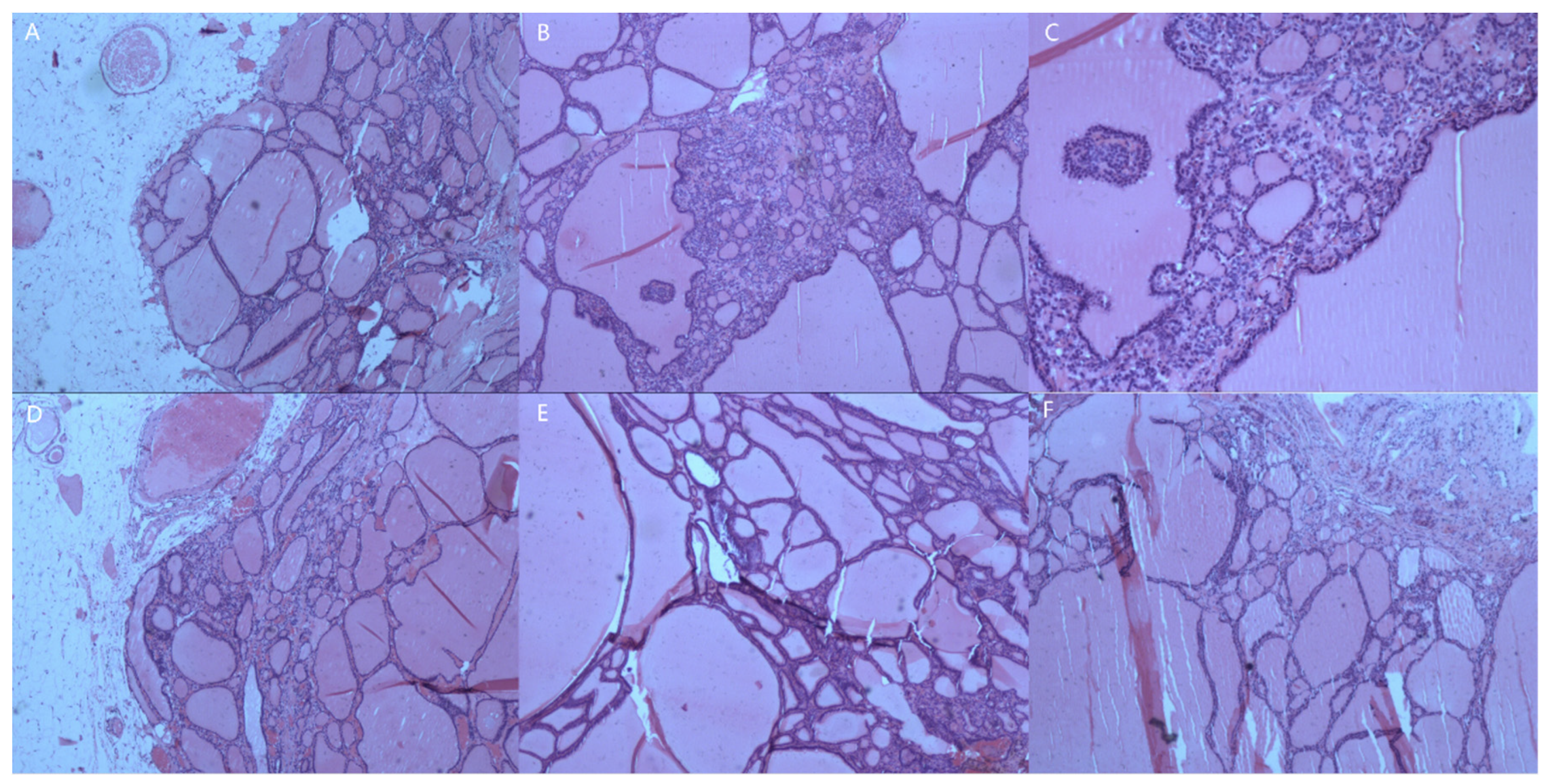 Diagnostics 13 01581 g003 Diagnostics 13 01581 g003