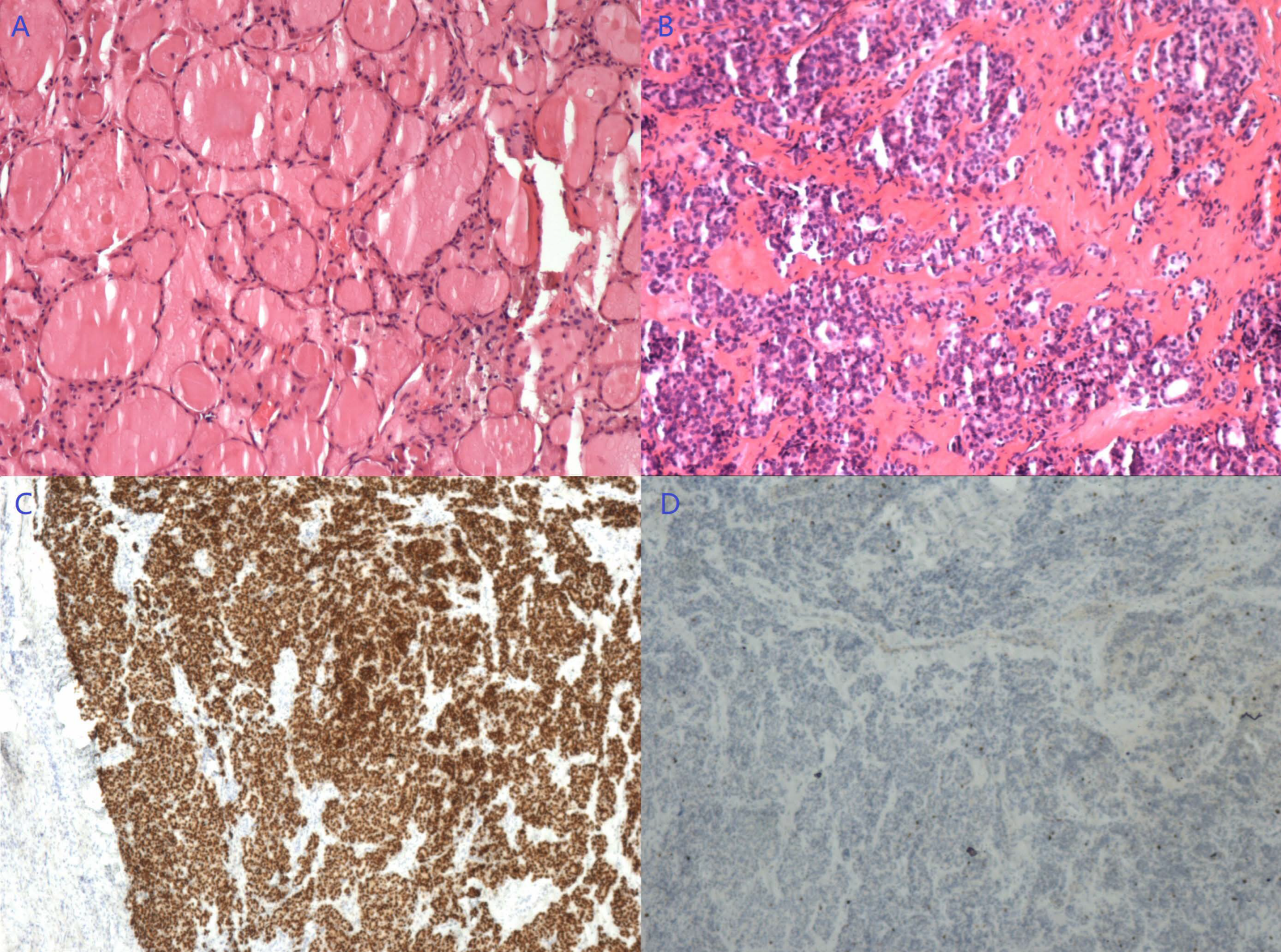 Diagnostics 13 01581 g004 Diagnostics 13 01581 g004