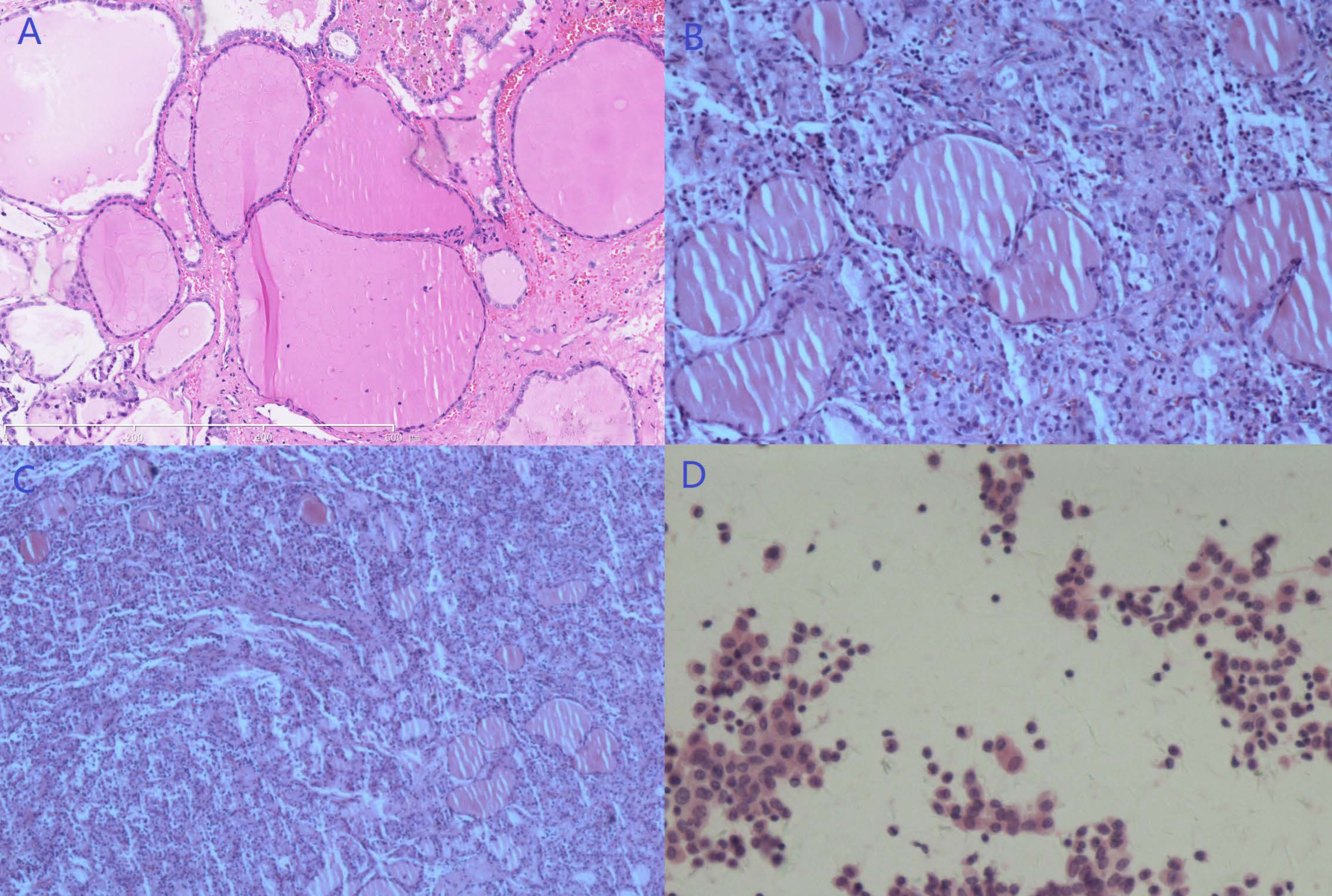 Diagnostics 13 01581 g006 Diagnostics 13 01581 g006