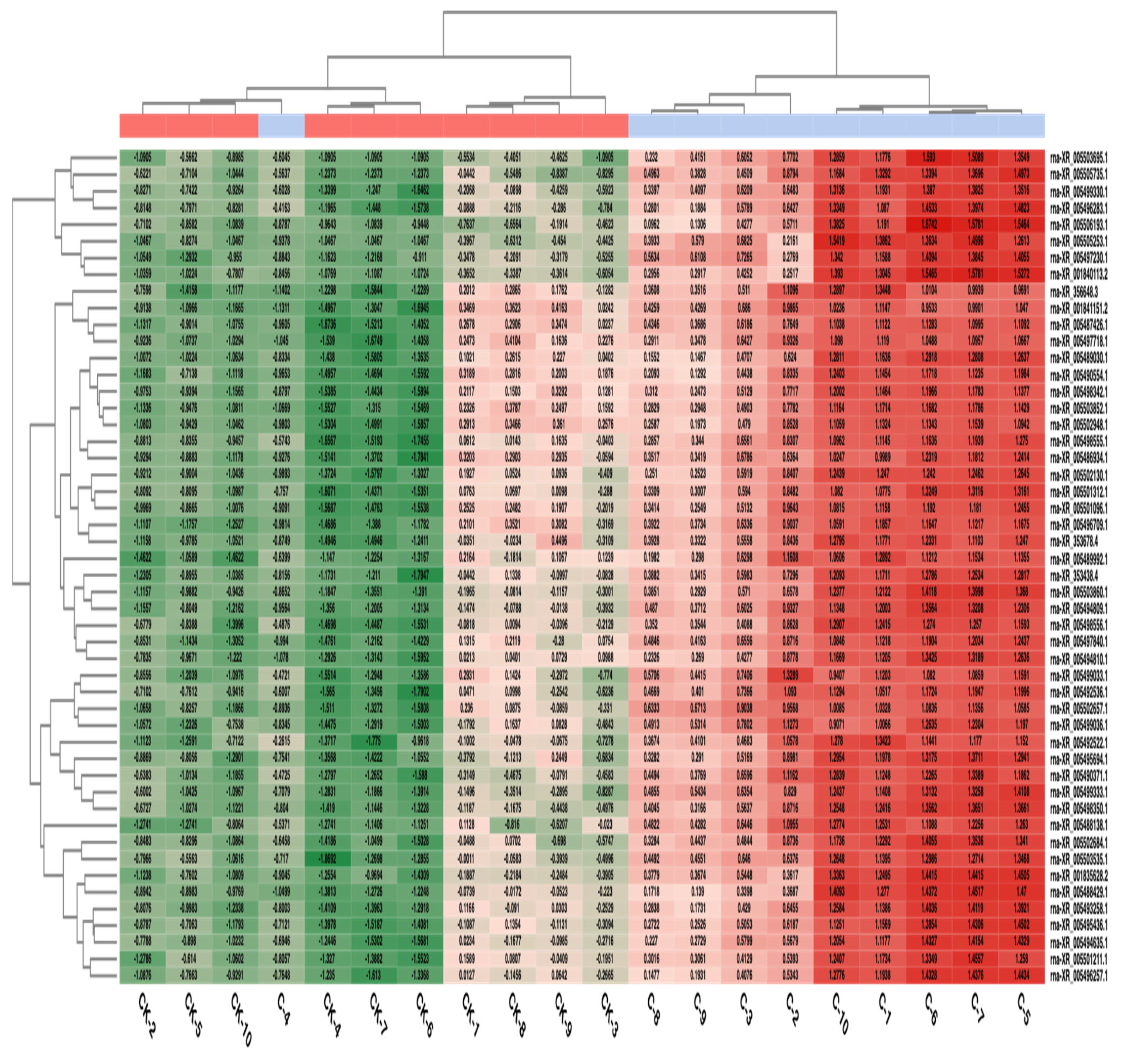 Diagnostics 13 01583 g004