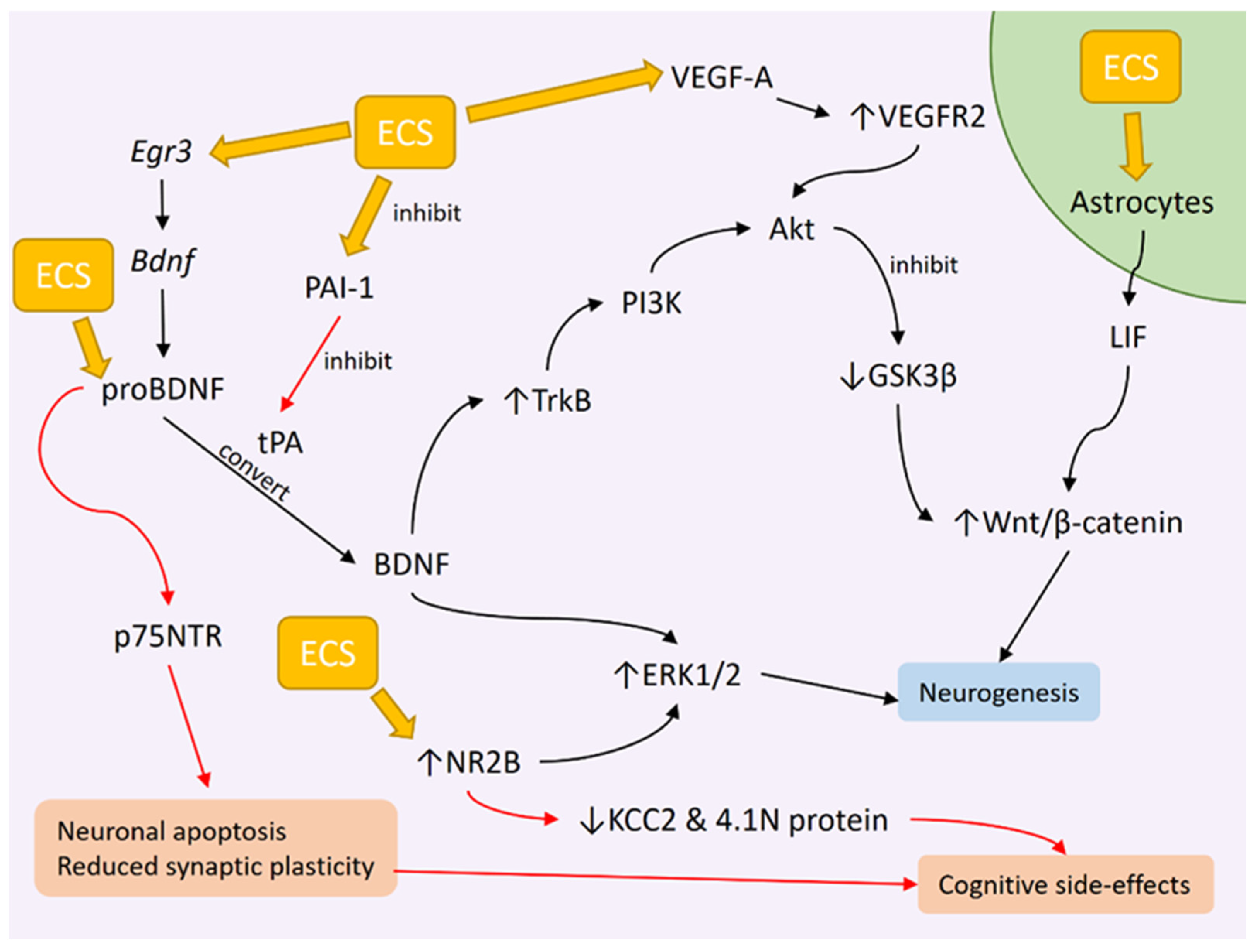 Diagnostics 13 01585 g001 Diagnostics 13 01585 g001