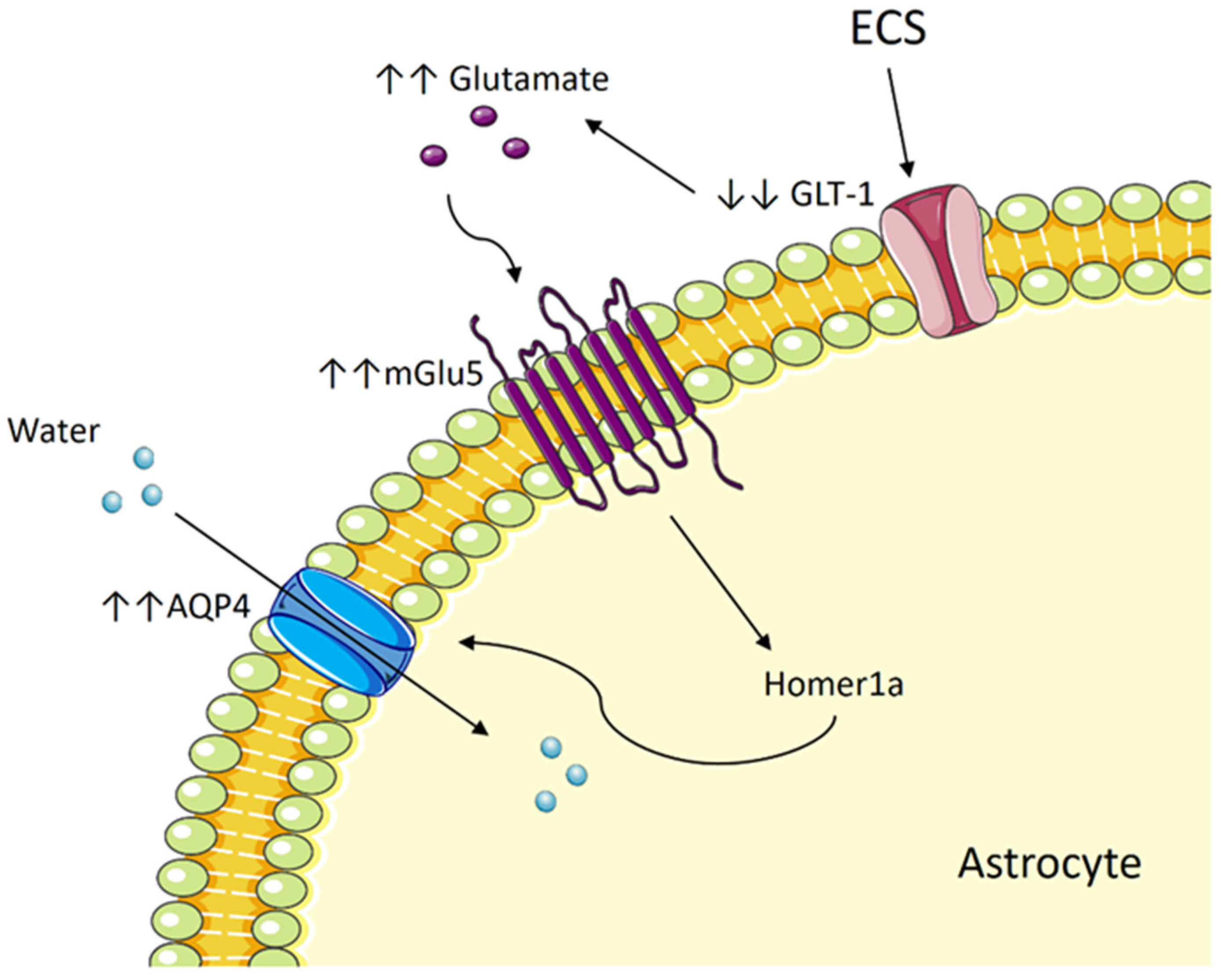 Diagnostics 13 01585 g002 Diagnostics 13 01585 g002
