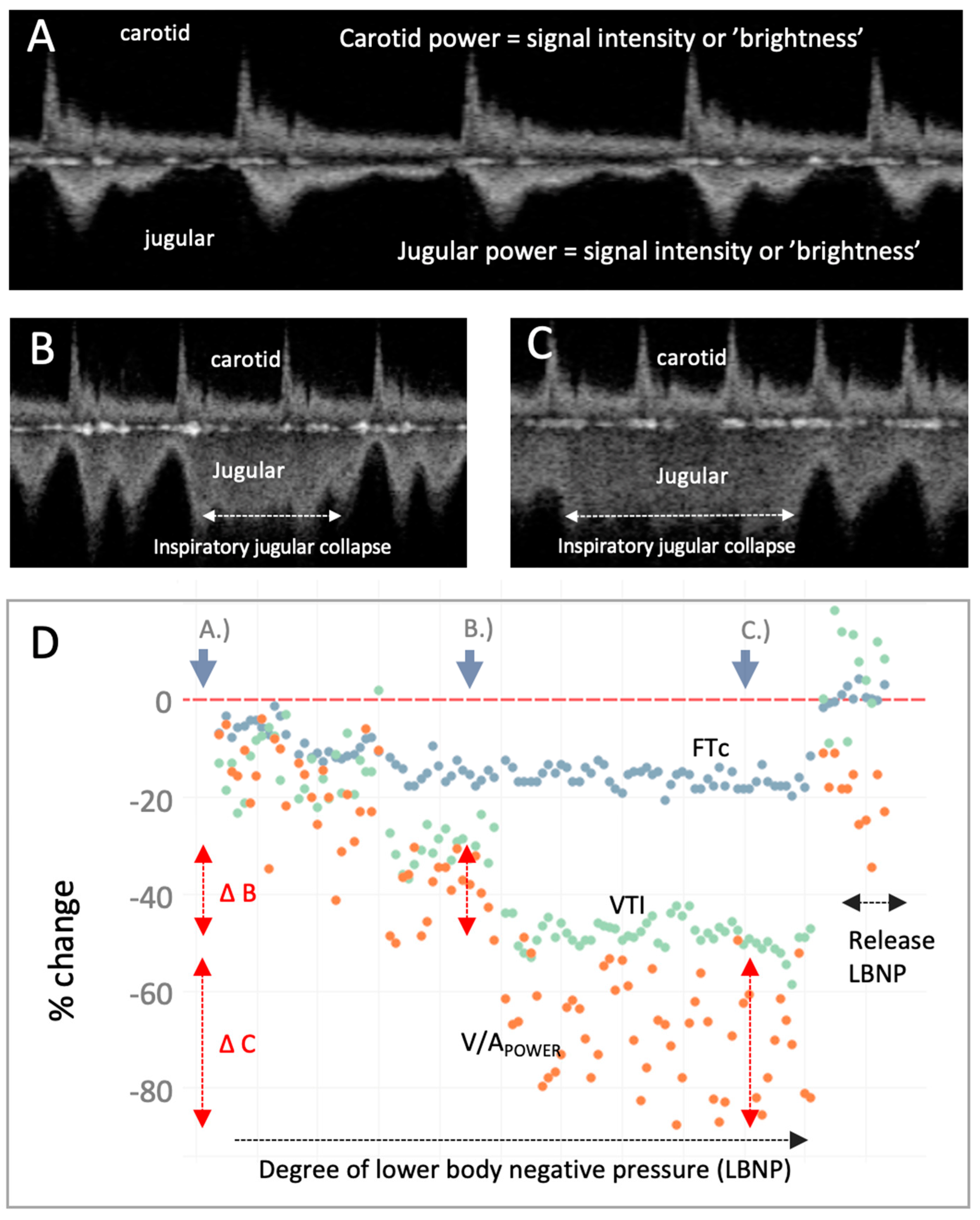 Diagnostics 13 01590 g003