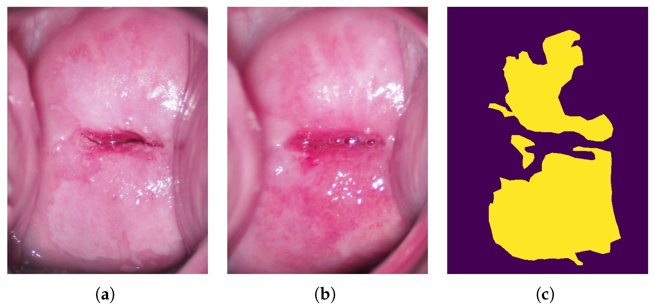 Diagnostics 13 01596 g003