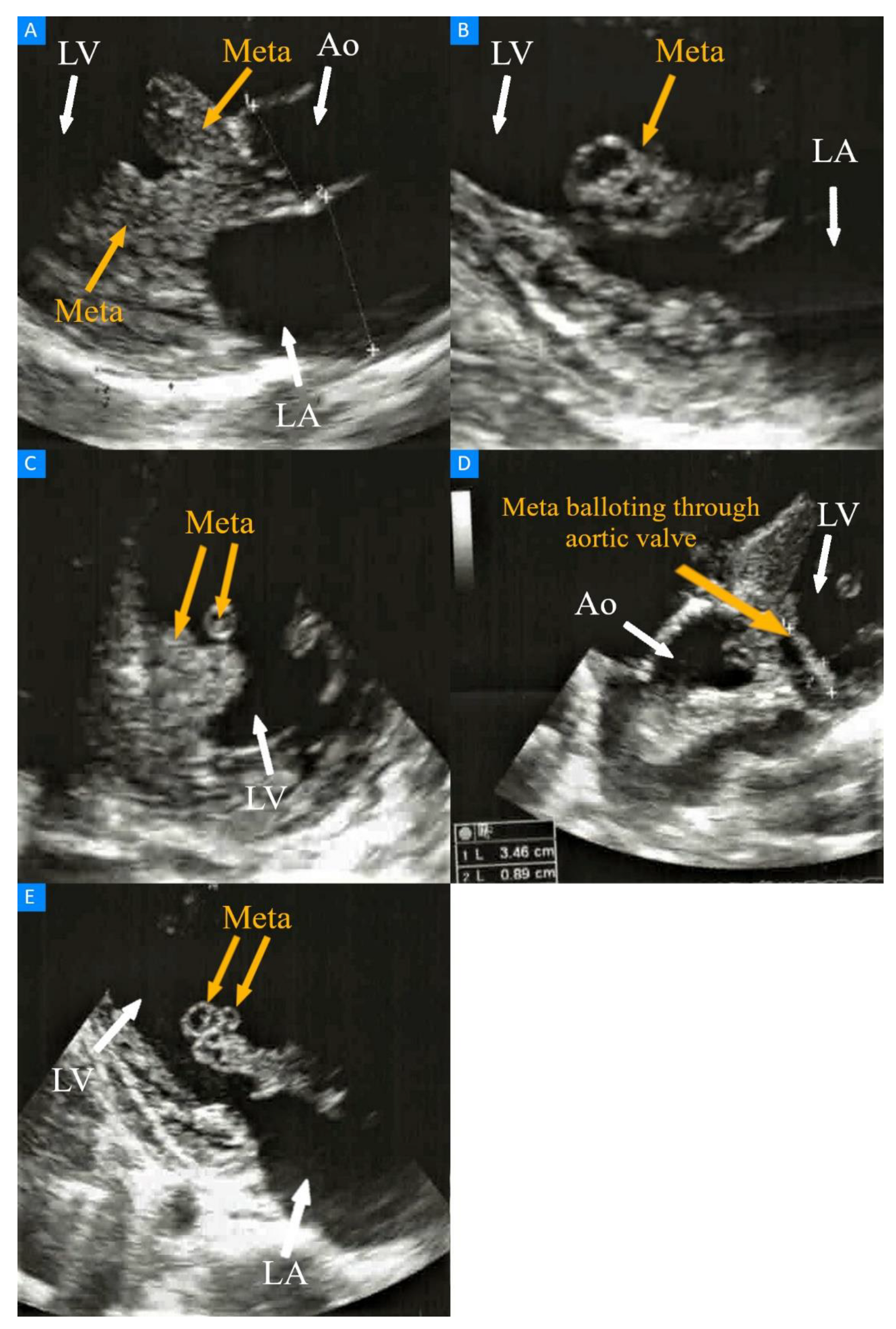 Diagnostics 13 01600 g001 Diagnostics 13 01600 g001