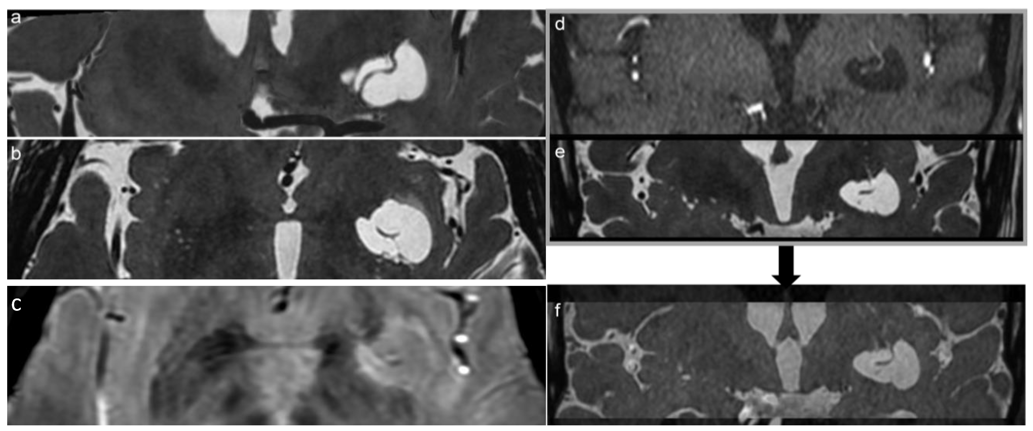 Diagnostics 13 01602 g002