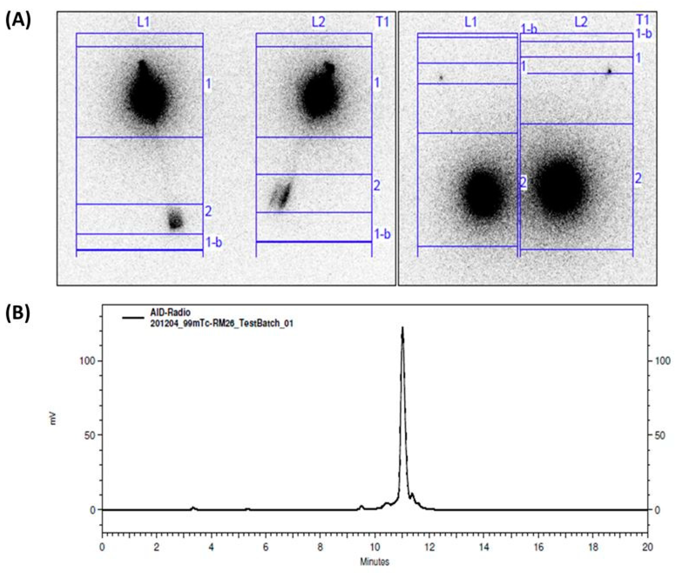 Diagnostics 13 01611 g001 Diagnostics 13 01611 g001