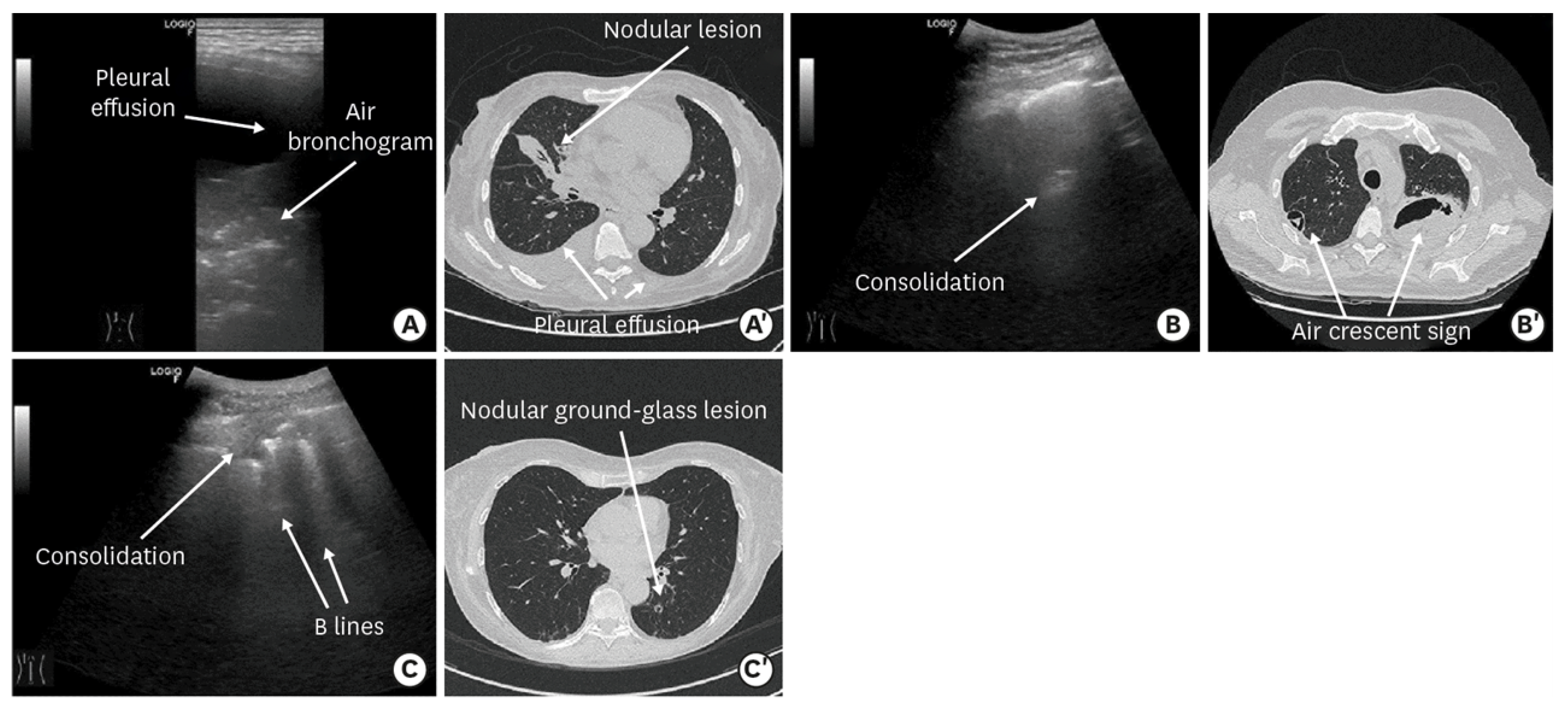 Diagnostics 13 01612 g007