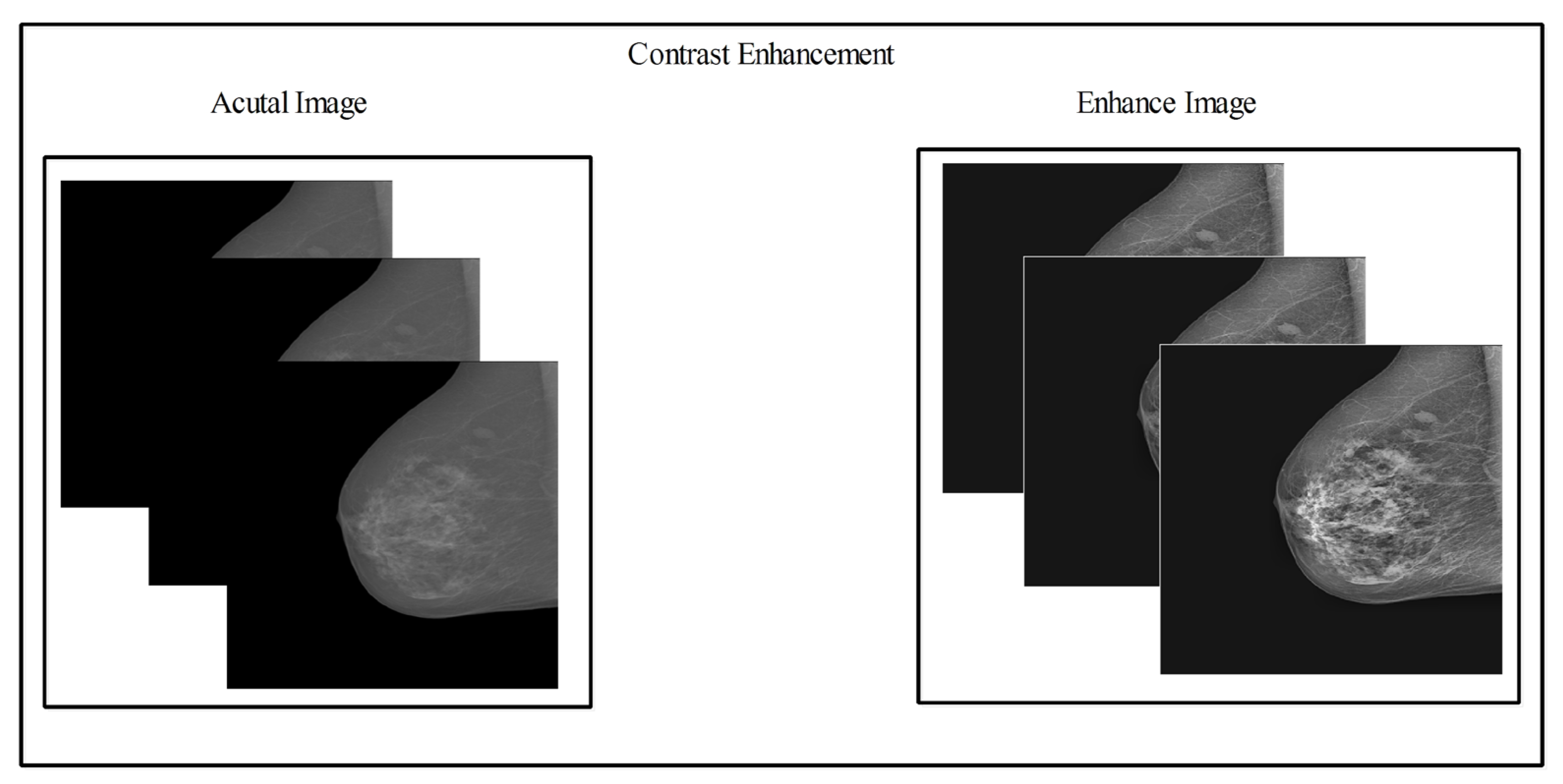 Diagnostics 13 01618 g004 Diagnostics 13 01618 g004