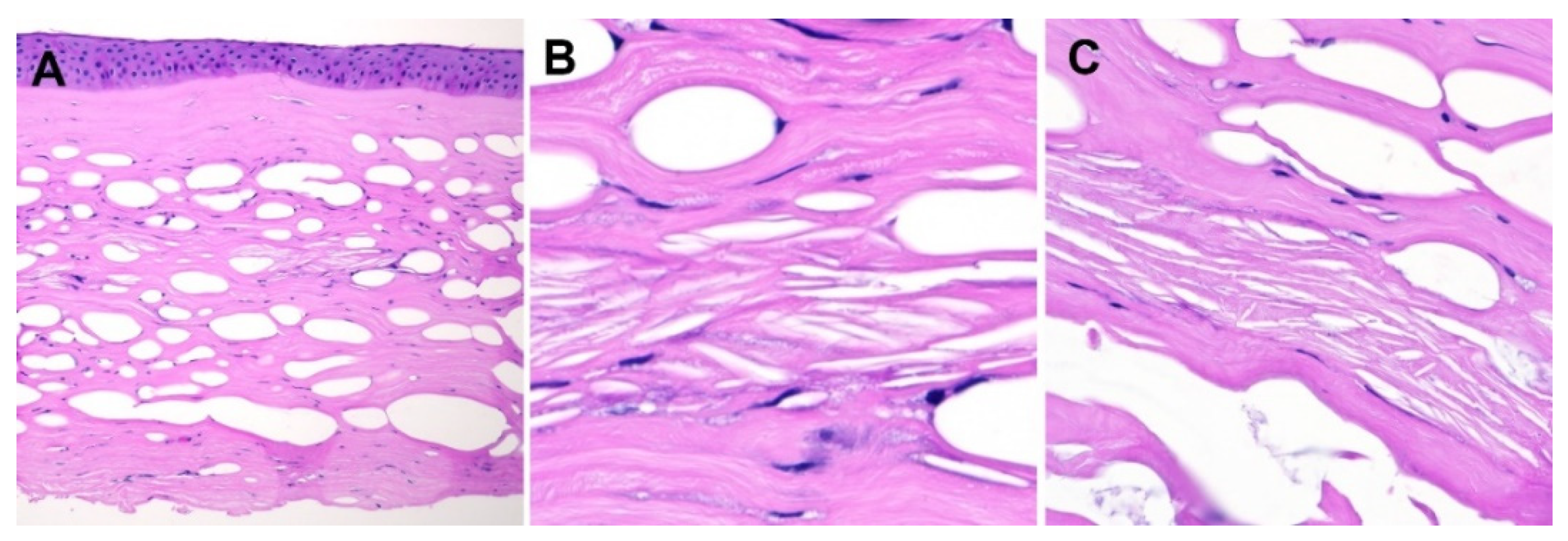 Diagnostics 13 01628 g001 Diagnostics 13 01628 g001