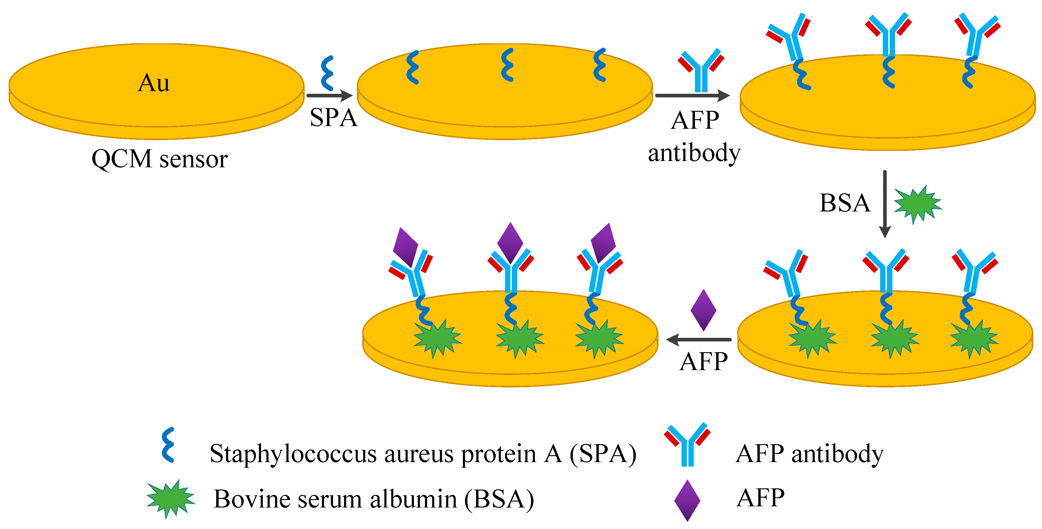 Diagnostics 13 01630 g001 Diagnostics 13 01630 g001