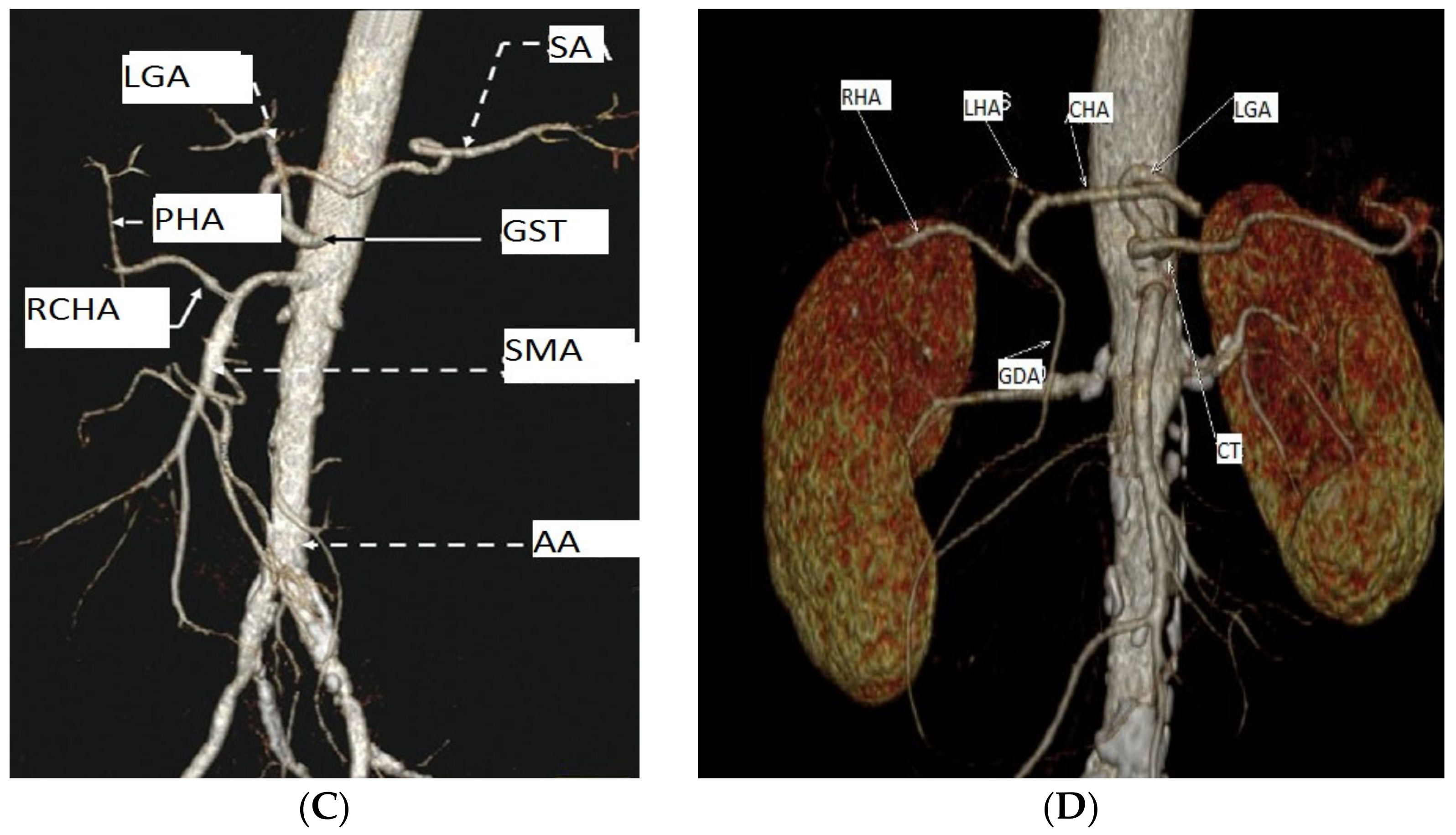 Diagnostics 13 01636 g001b Diagnostics 13 01636 g001b