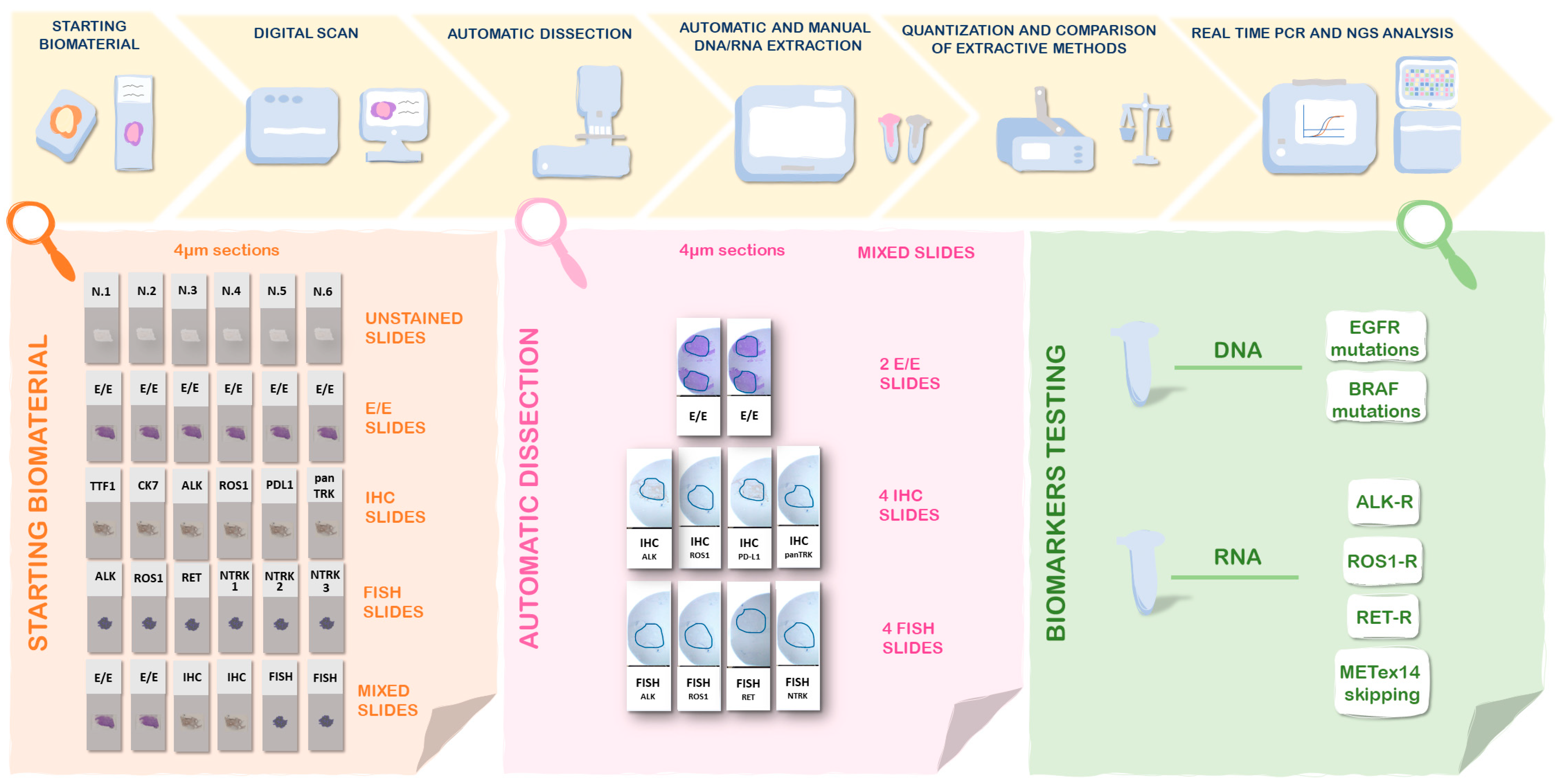 Diagnostics 13 01637 g001 Diagnostics 13 01637 g001
