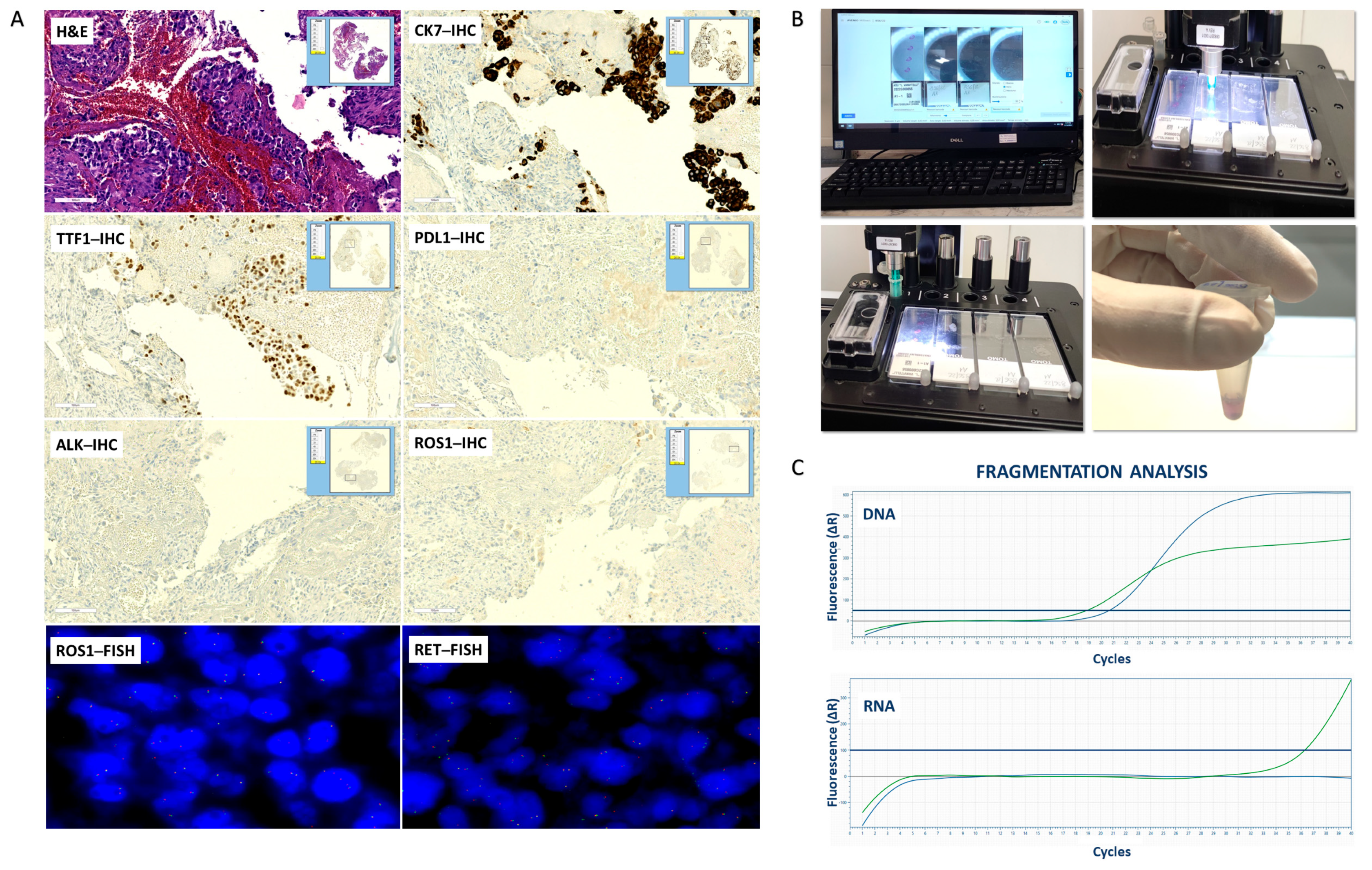 Diagnostics 13 01637 g002 Diagnostics 13 01637 g002