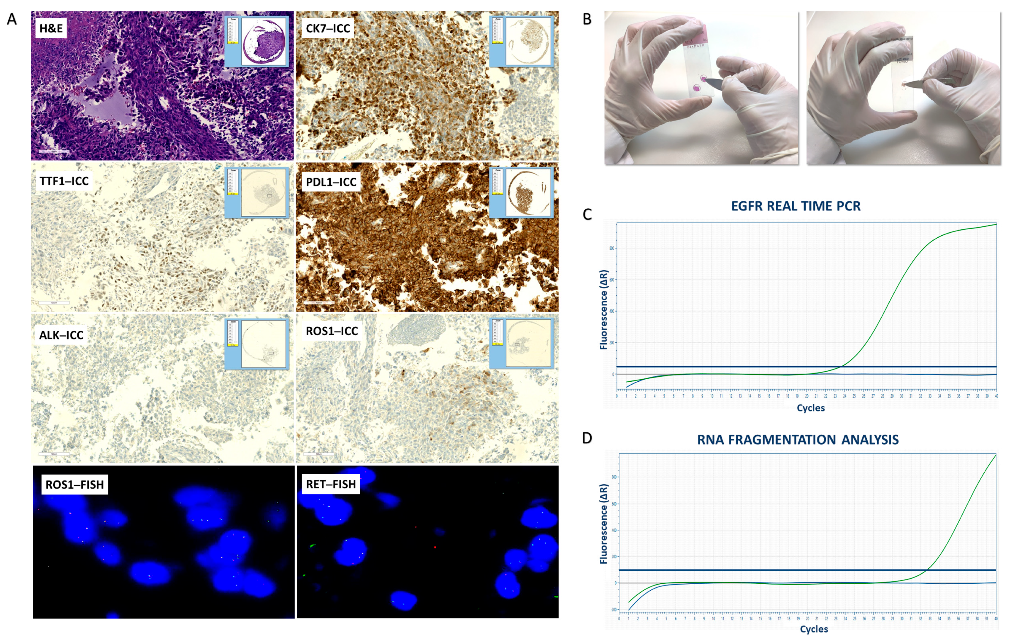Diagnostics 13 01637 g003 Diagnostics 13 01637 g003