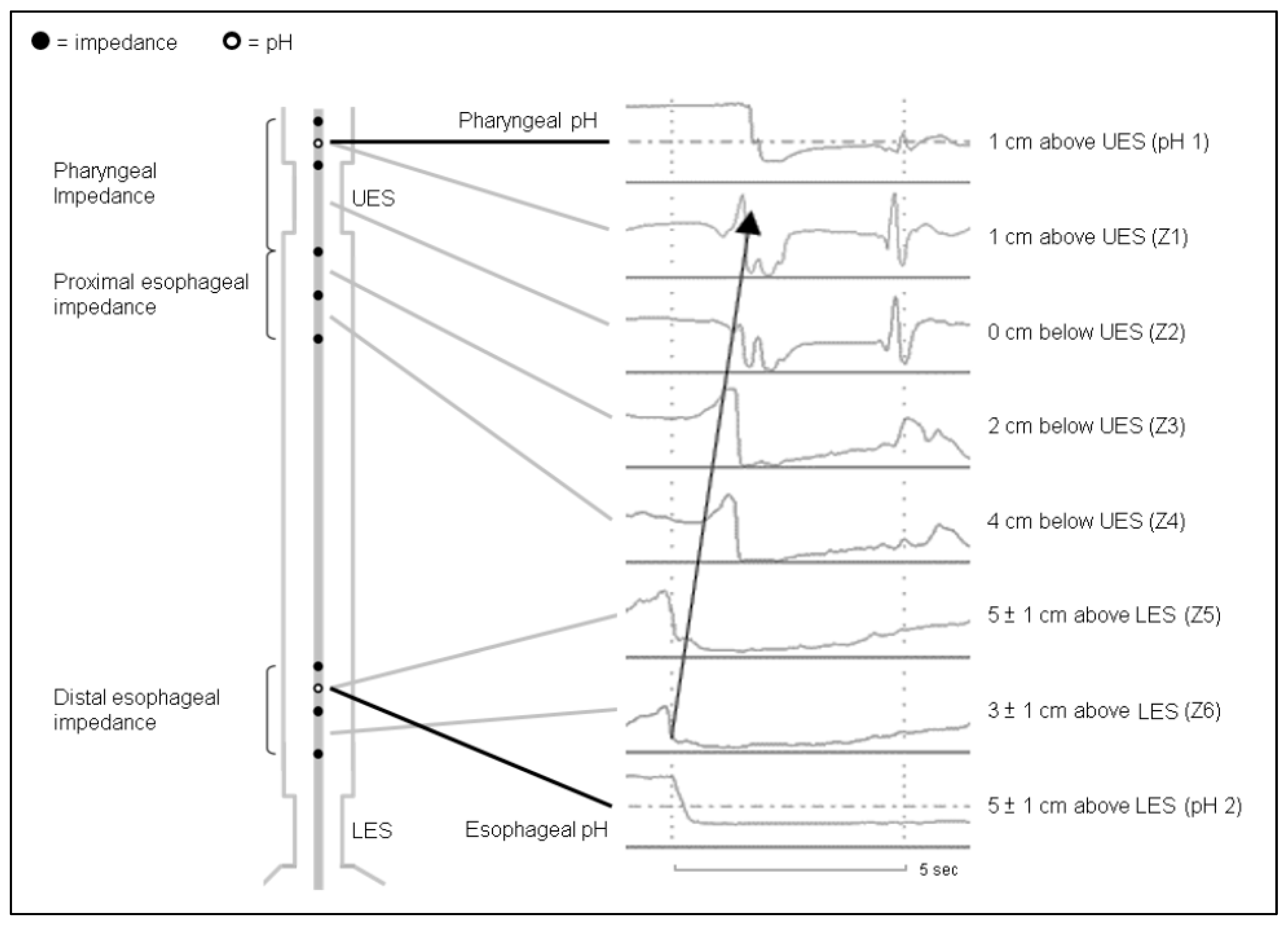 Diagnostics 13 01643 g002 Diagnostics 13 01643 g002