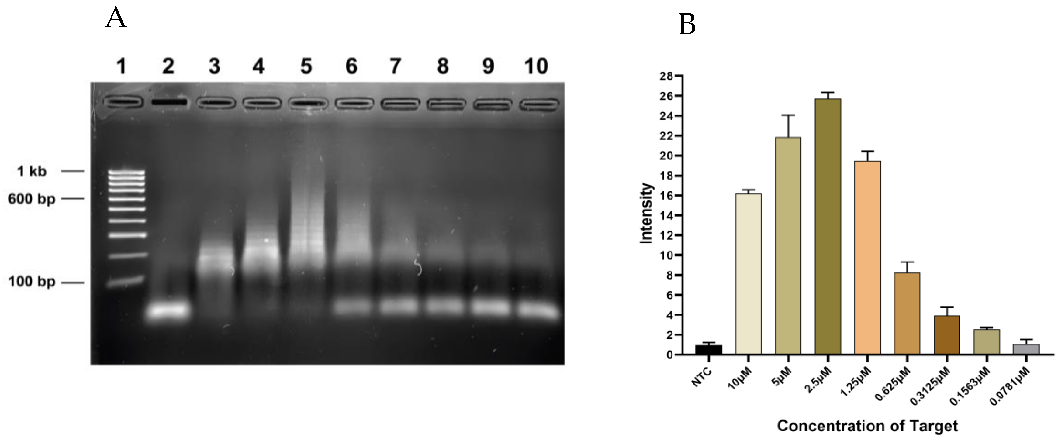 Diagnostics 13 01644 g002