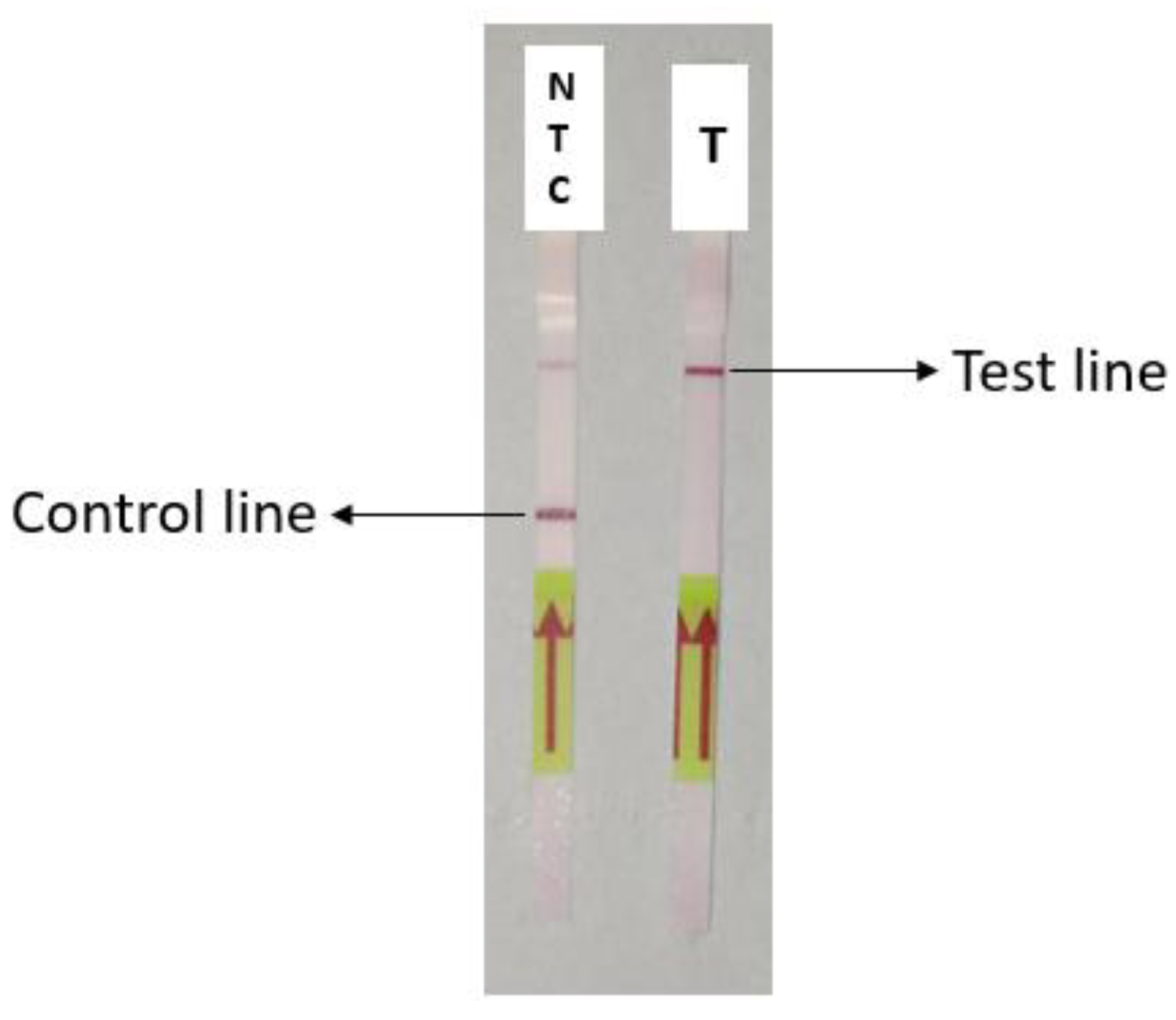 Diagnostics 13 01644 g003
