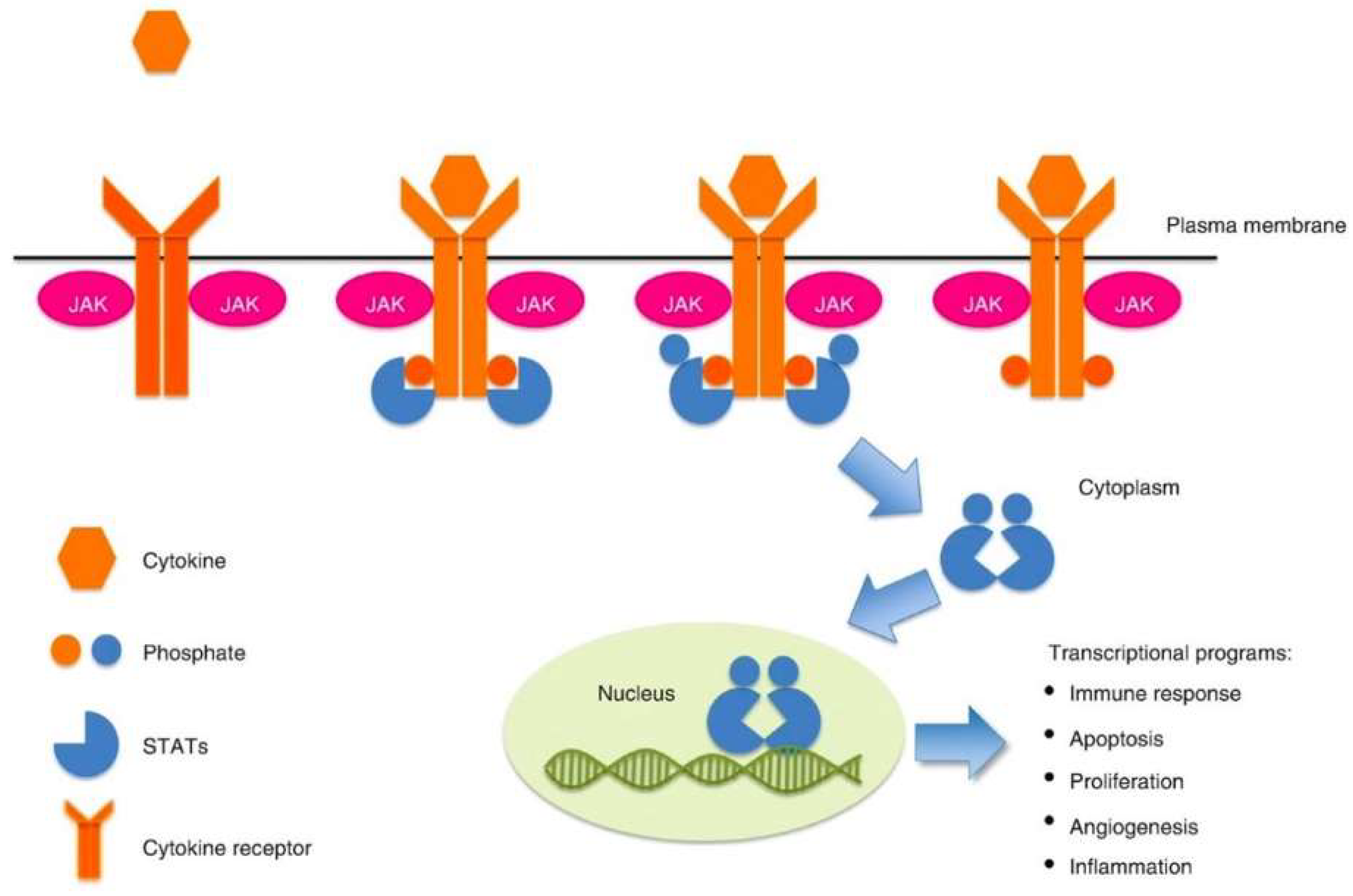 Diagnostics 13 01649 g001 Diagnostics 13 01649 g001