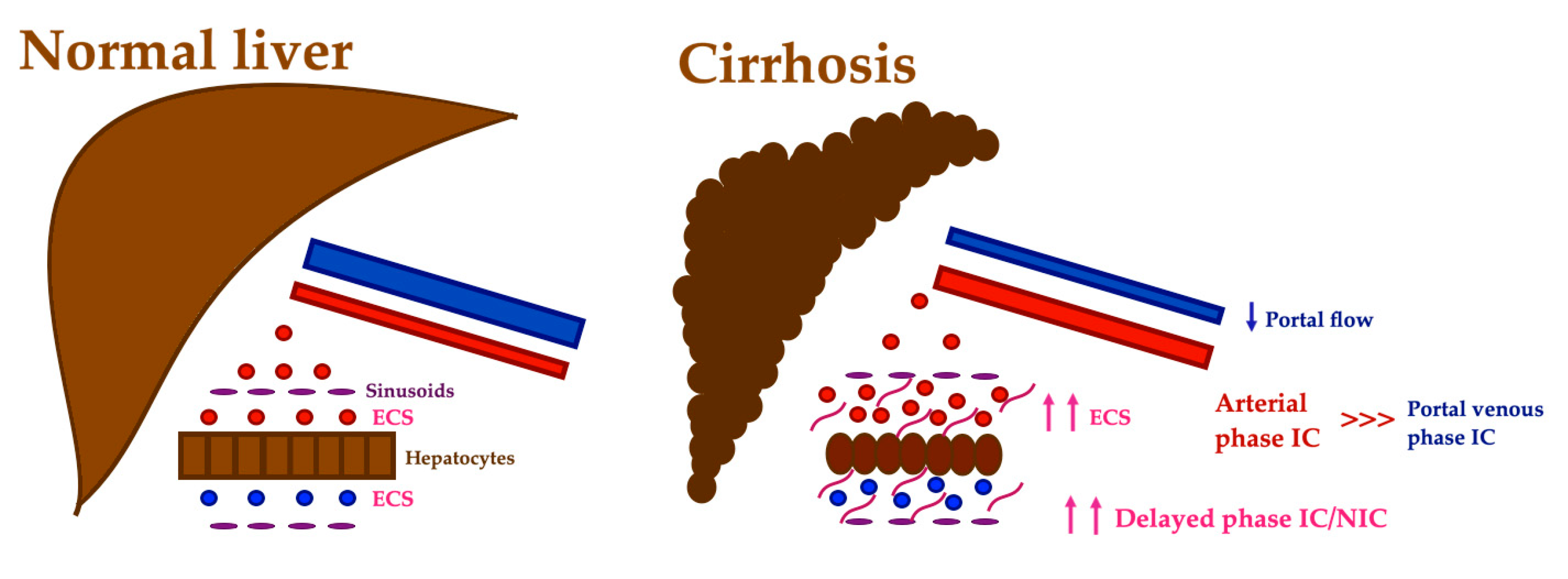 Diagnostics 13 01673 g016 Diagnostics 13 01673 g016