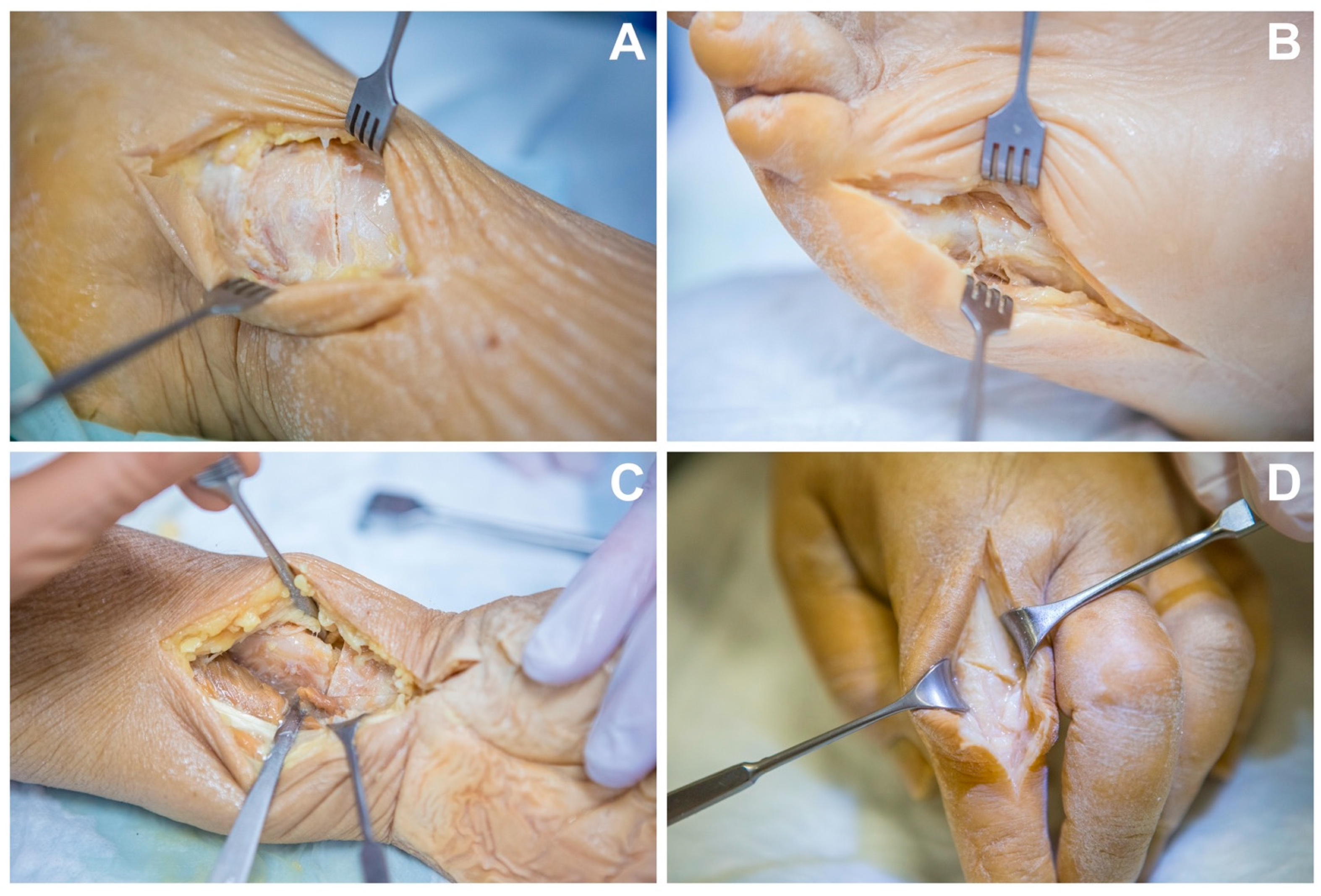 Diagnostics 13 01677 g001 Diagnostics 13 01677 g001