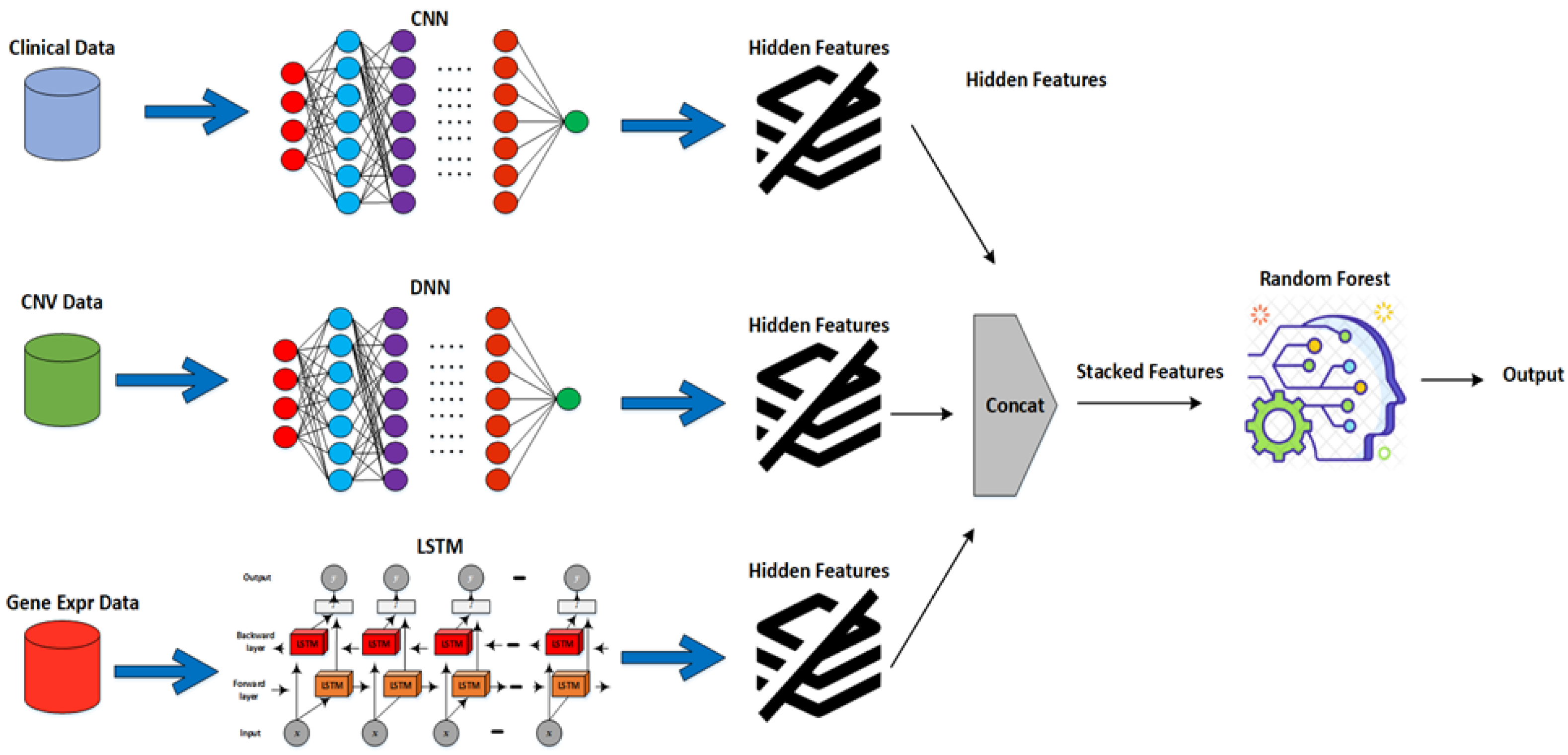 Diagnostics 13 01688 g002