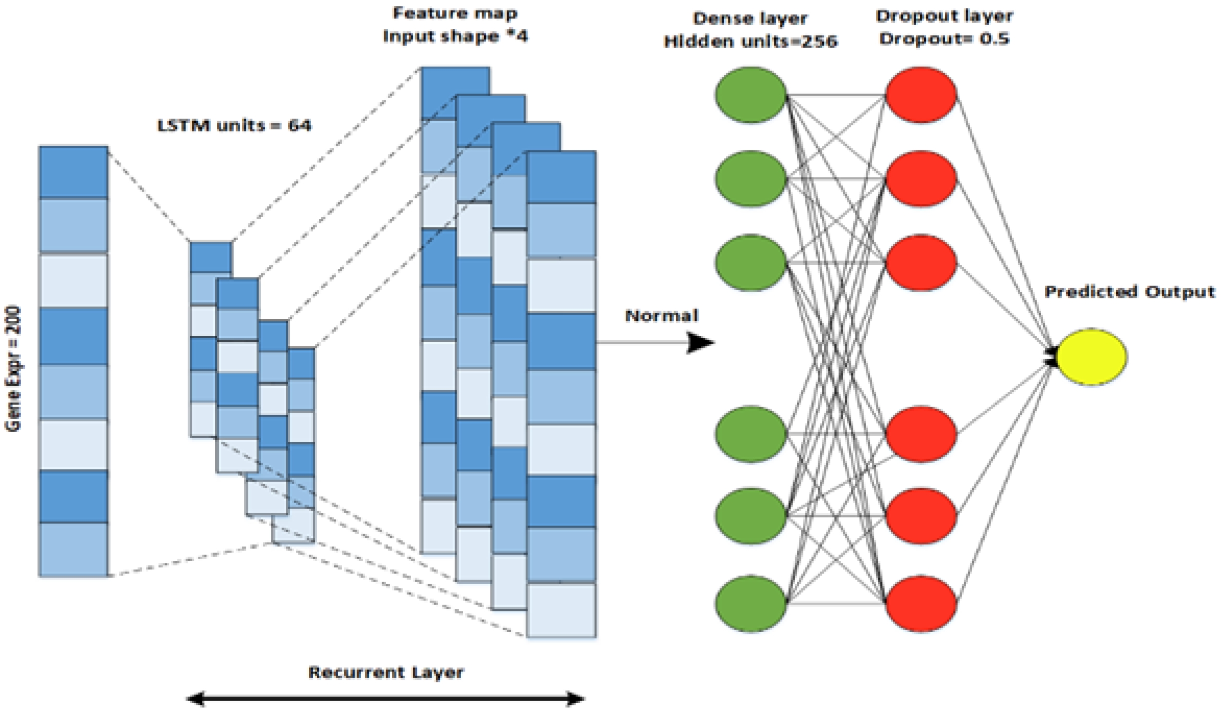 Diagnostics 13 01688 g005