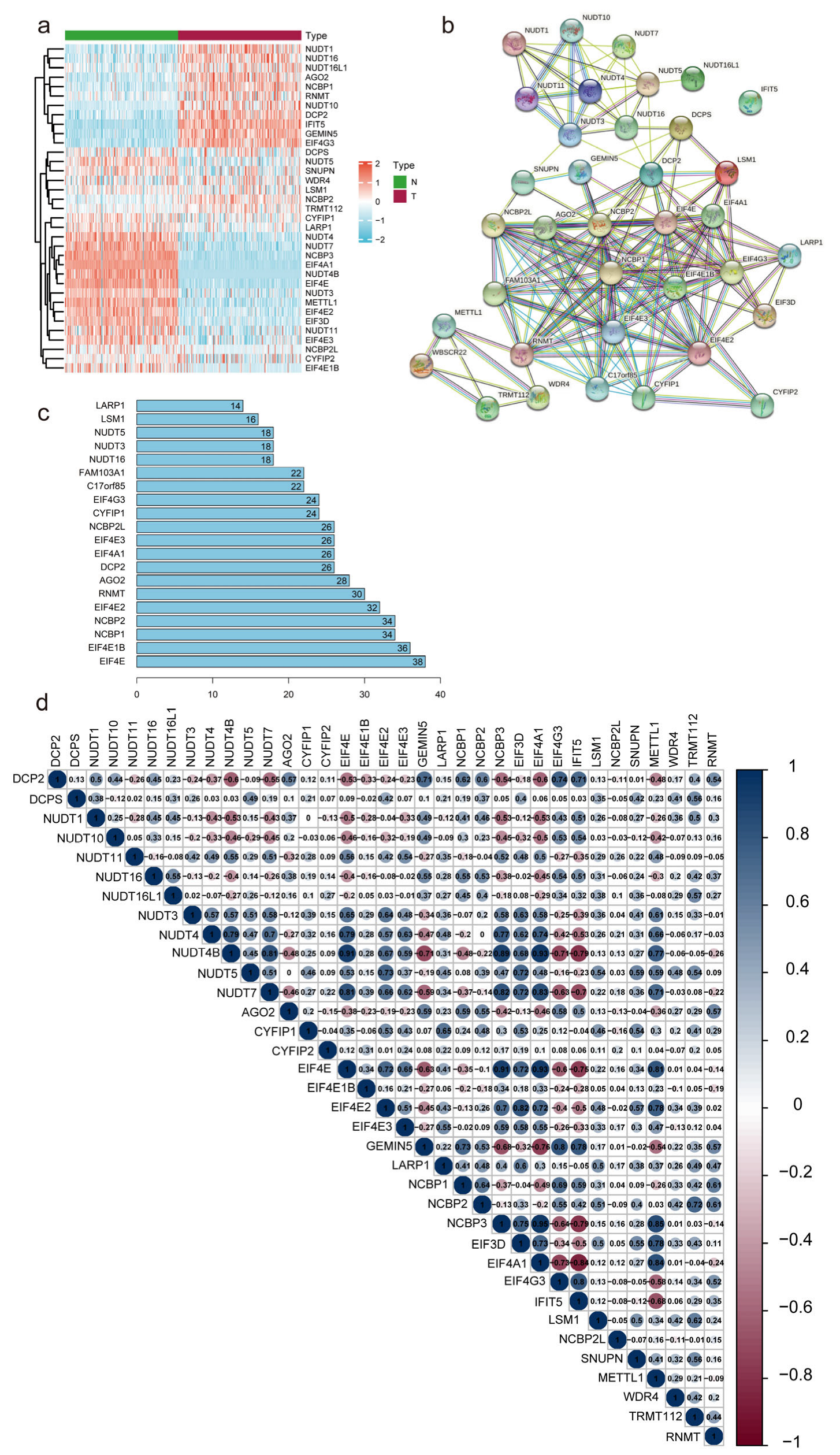 Diagnostics 13 01697 g002 Diagnostics 13 01697 g002