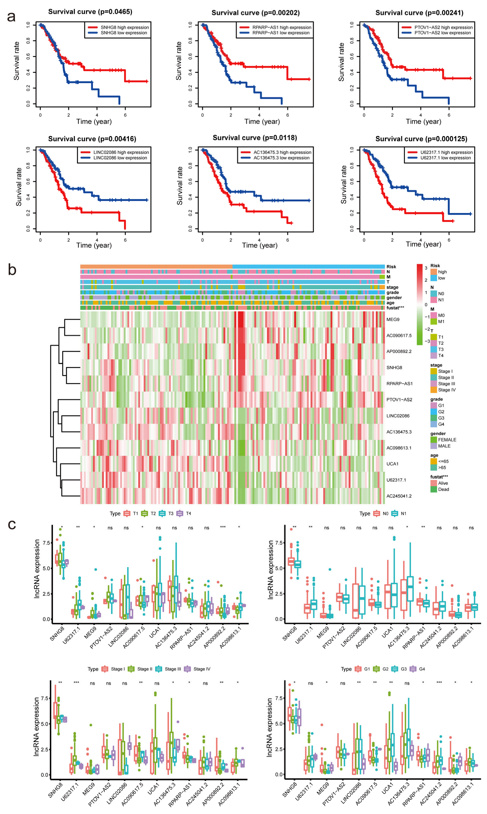Diagnostics 13 01697 g004 Diagnostics 13 01697 g004
