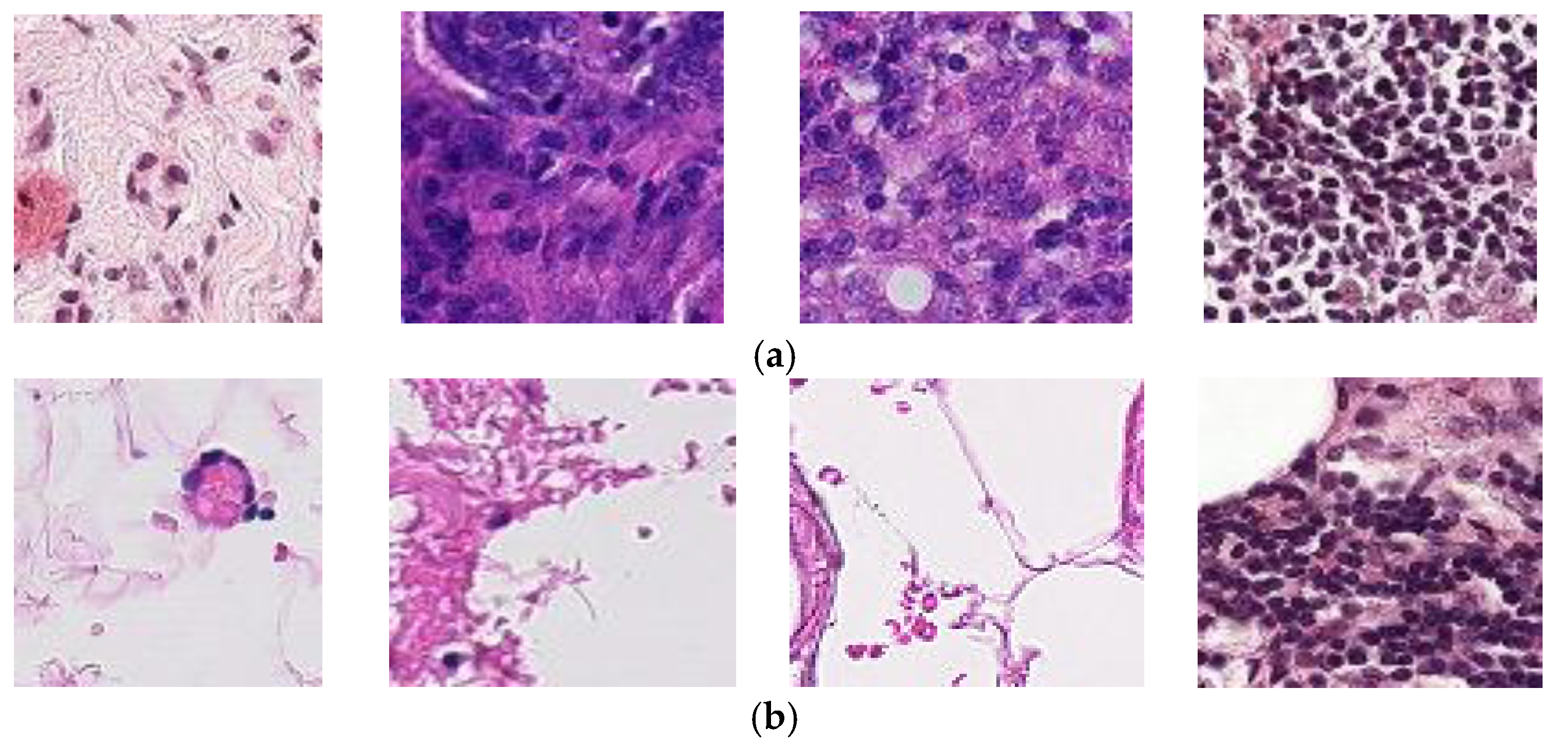 Diagnostics 13 01700 g001 Diagnostics 13 01700 g001