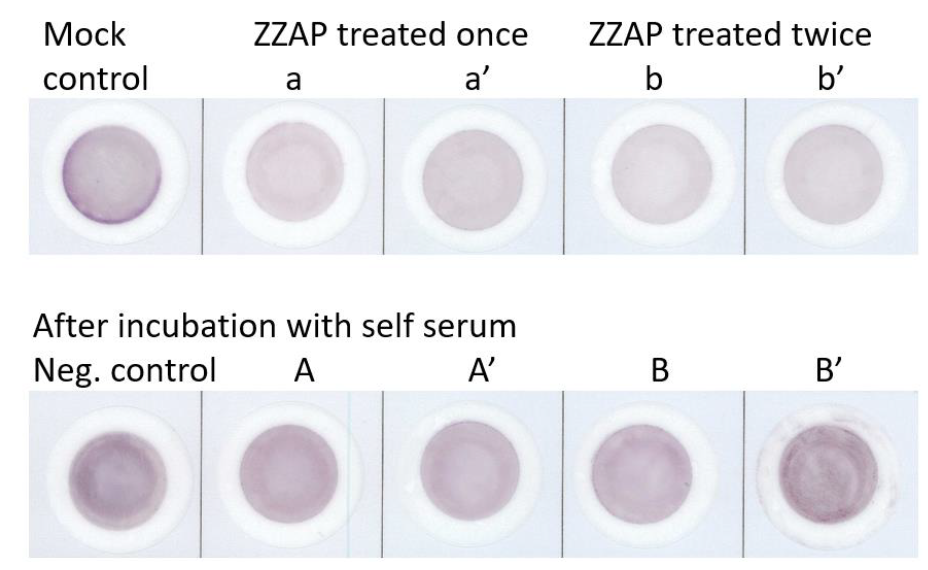 Diagnostics 13 01704 g001 Diagnostics 13 01704 g001