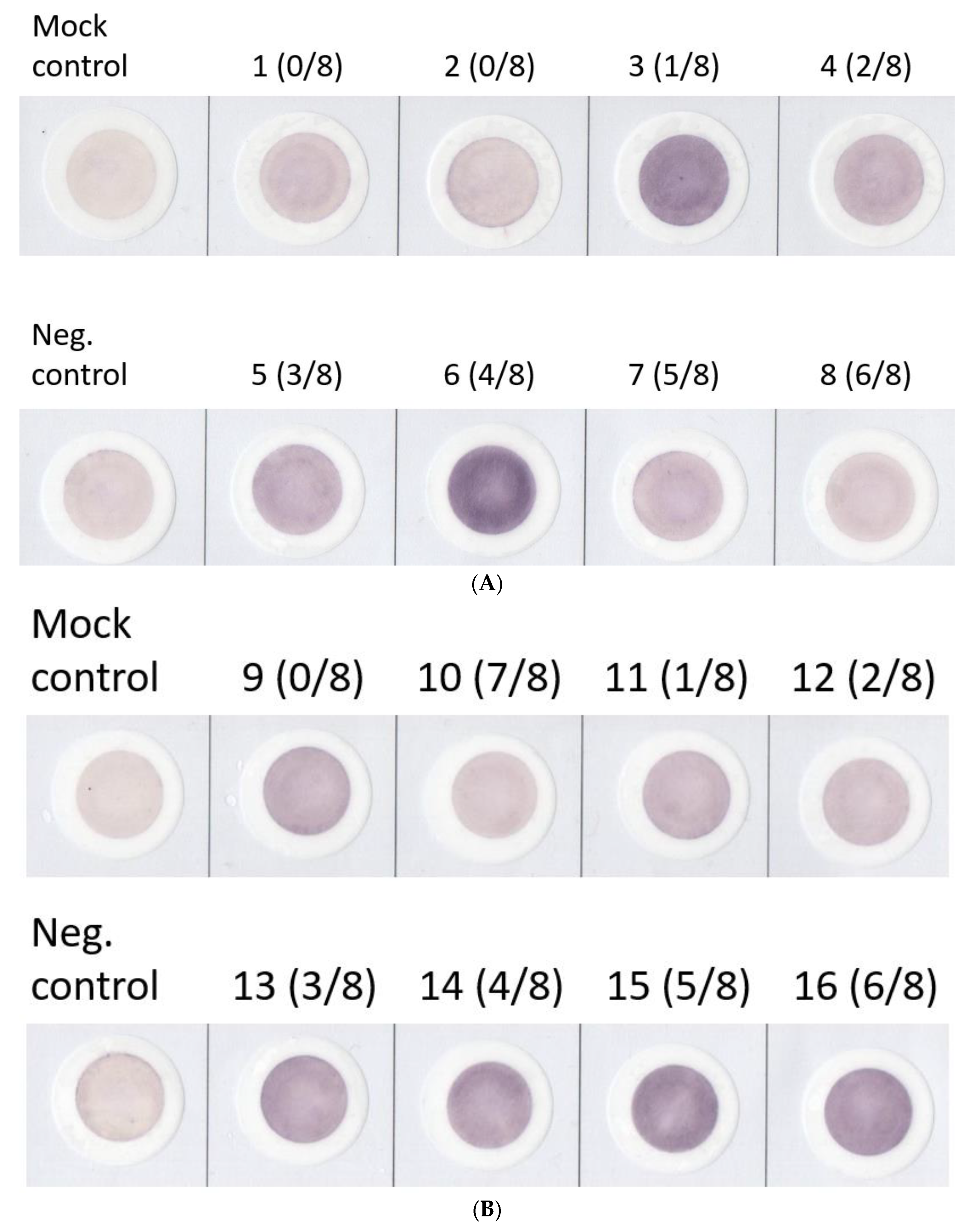 Diagnostics 13 01704 g003a Diagnostics 13 01704 g003a