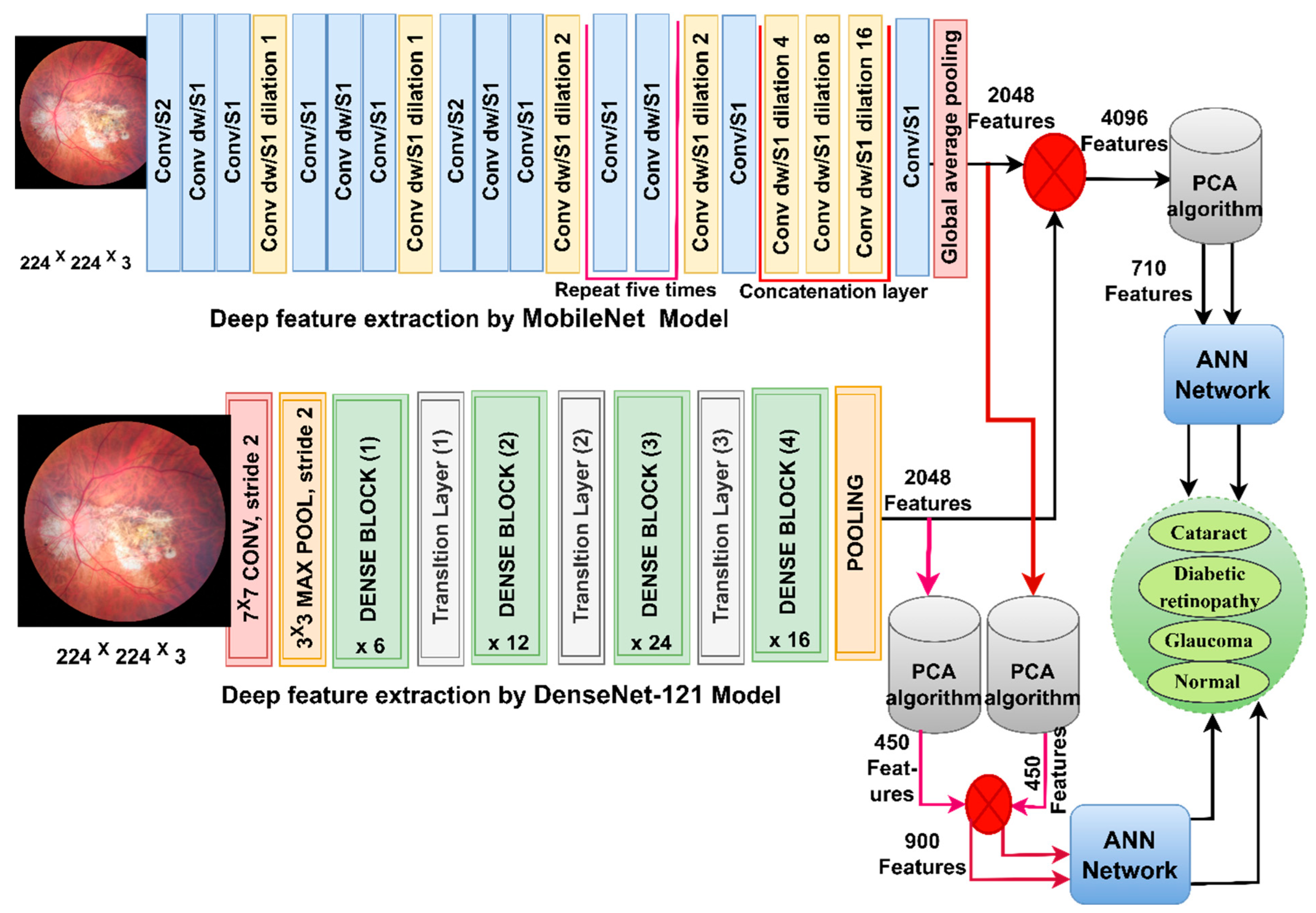 Diagnostics 13 01706 g004