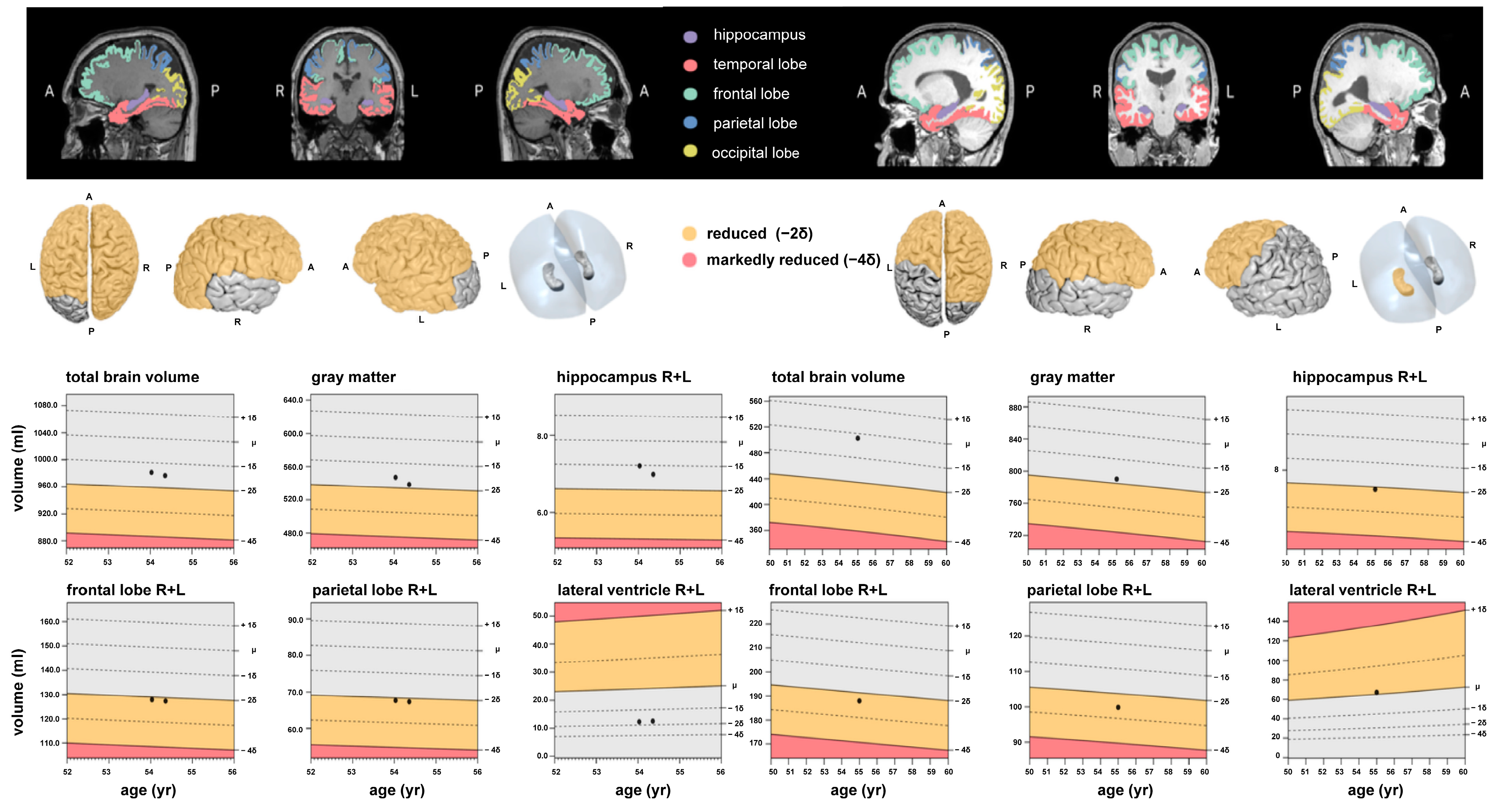 Diagnostics 13 01716 g001 Diagnostics 13 01716 g001