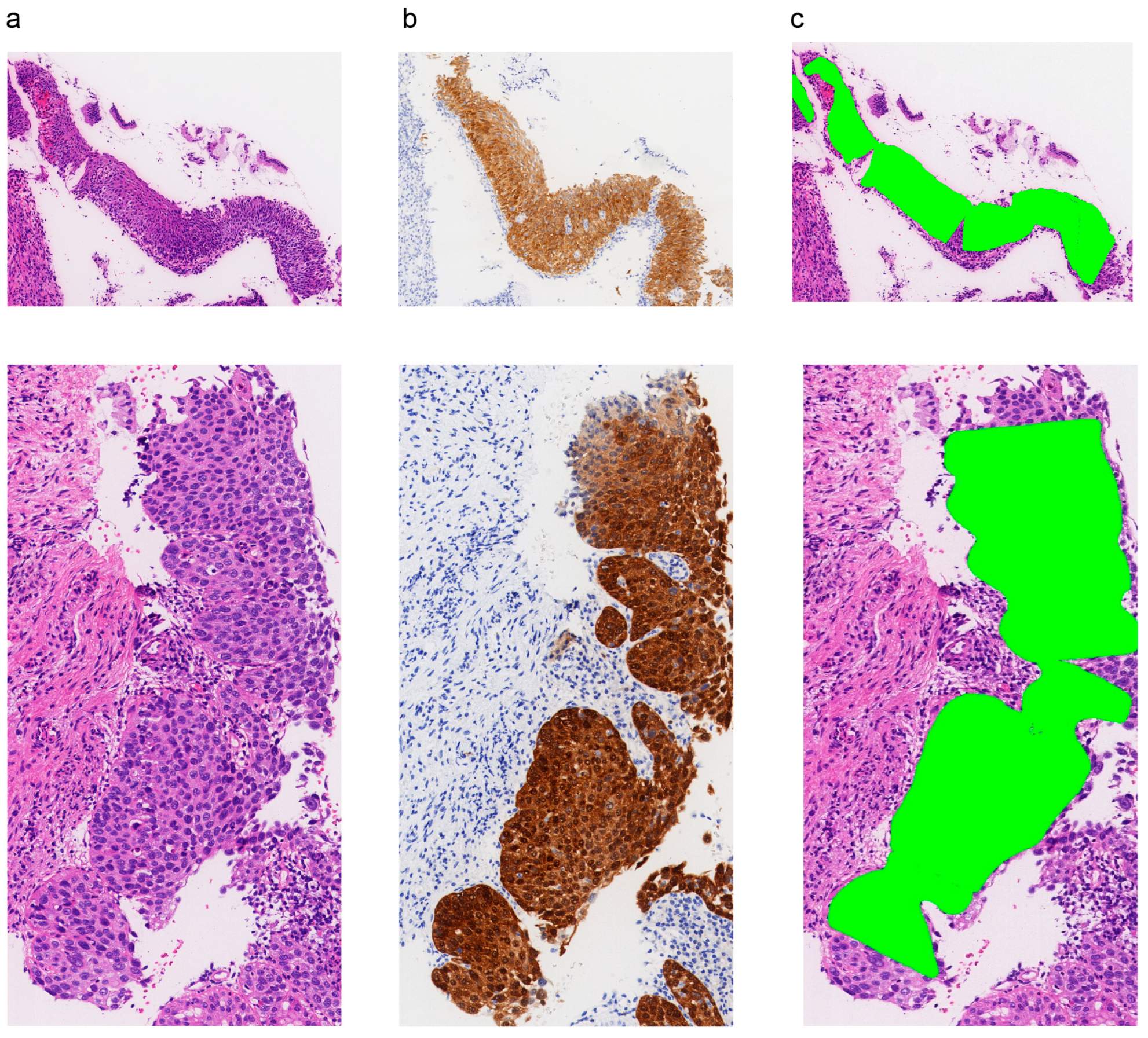 Diagnostics 13 01720 g005