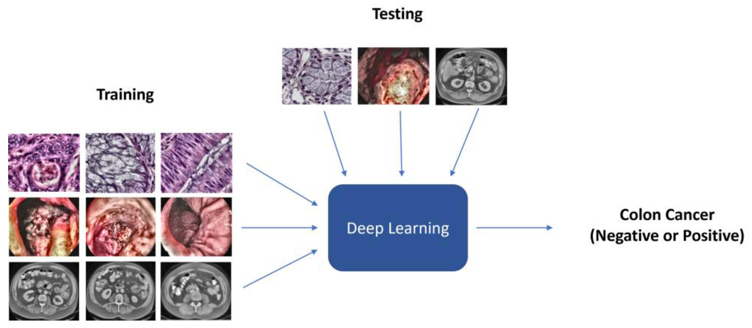 Diagnostics 13 01721 g003 Diagnostics 13 01721 g003