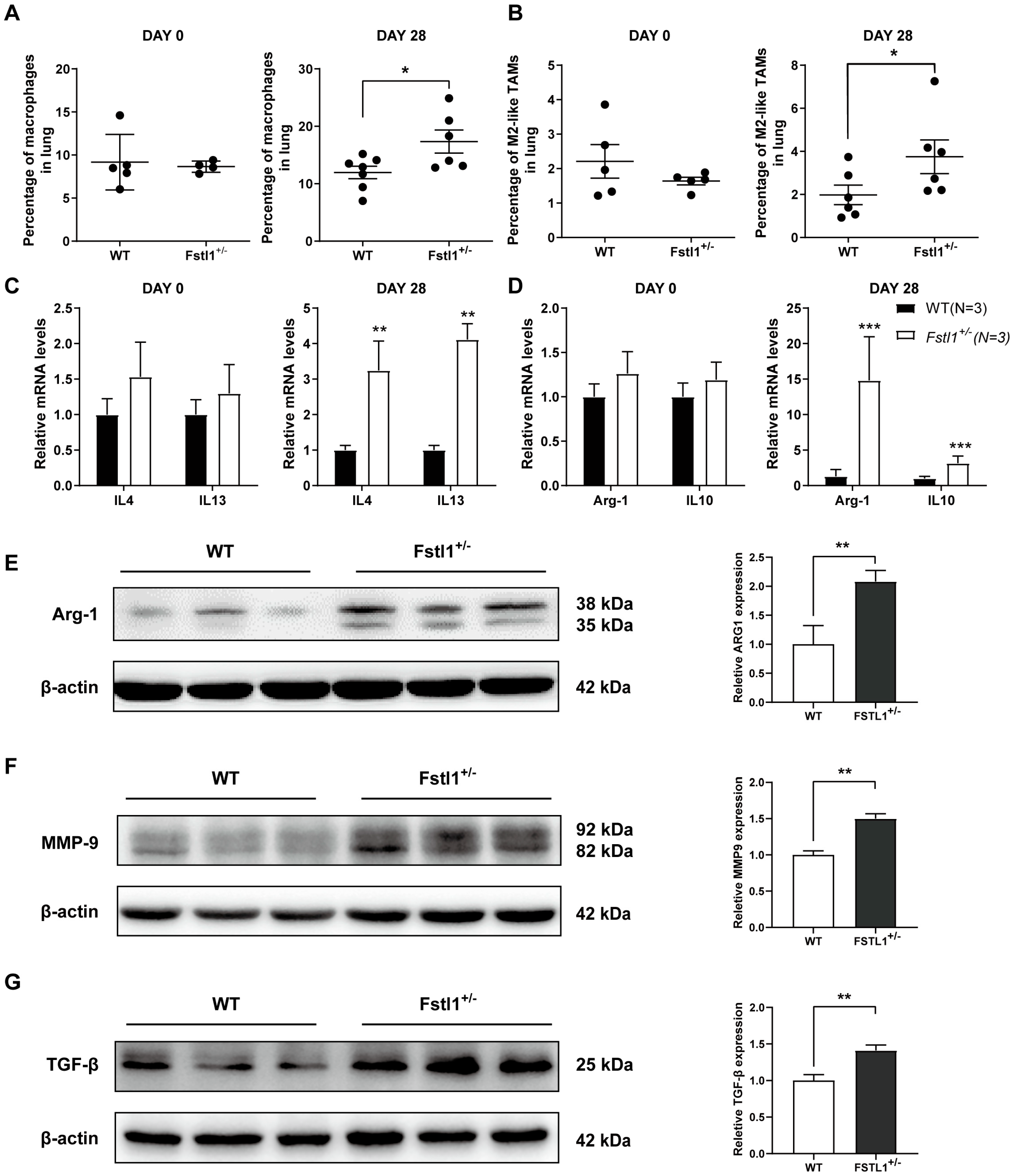 Diagnostics 13 01724 g003 Diagnostics 13 01724 g003